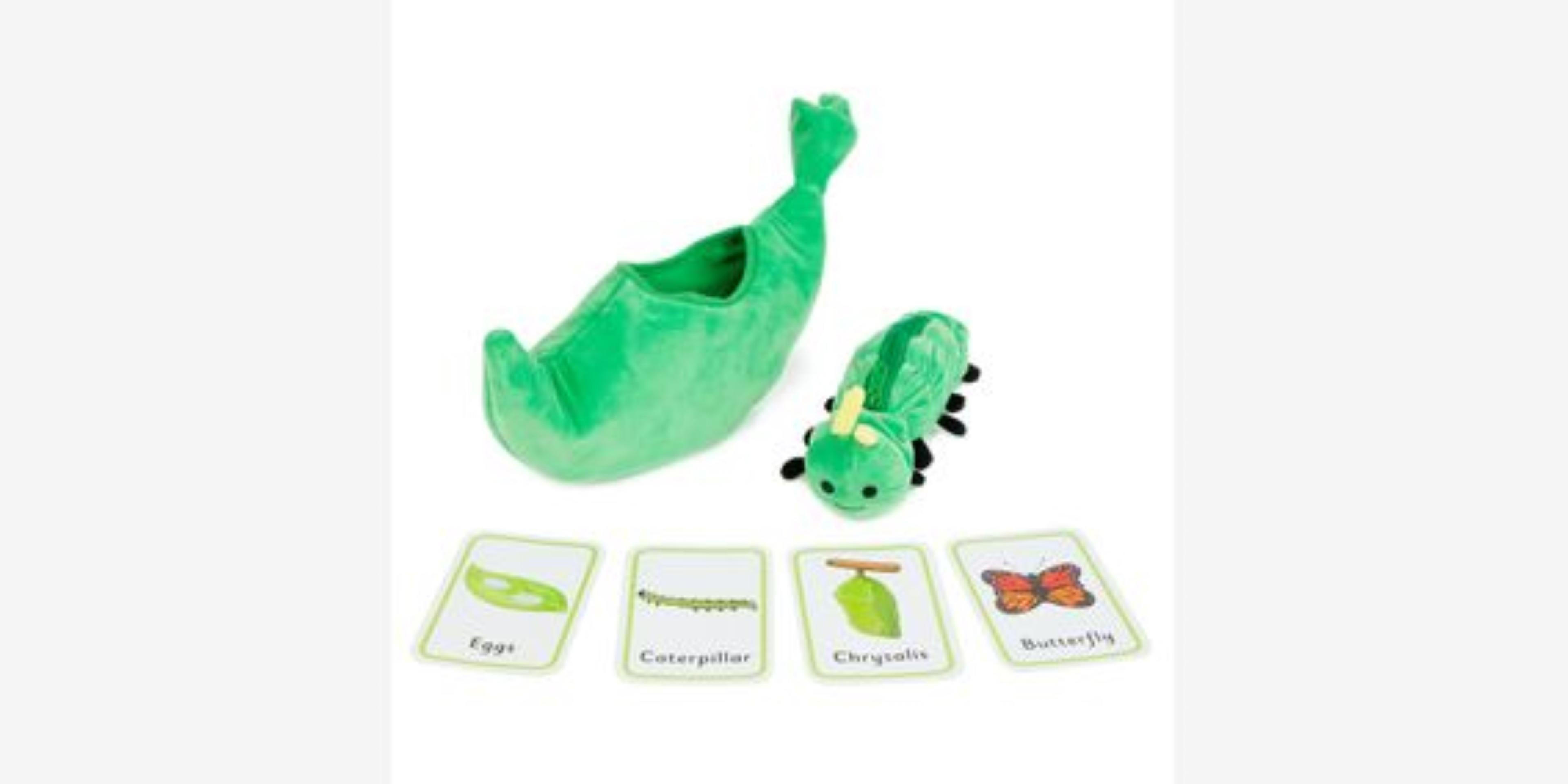 Butterfly Lifecycle from Hope Education