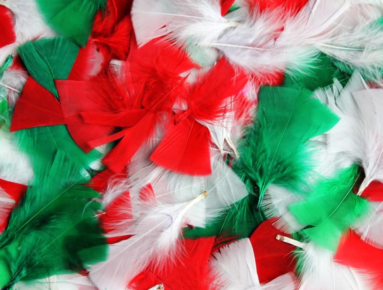 Christmas Feathers - 50g