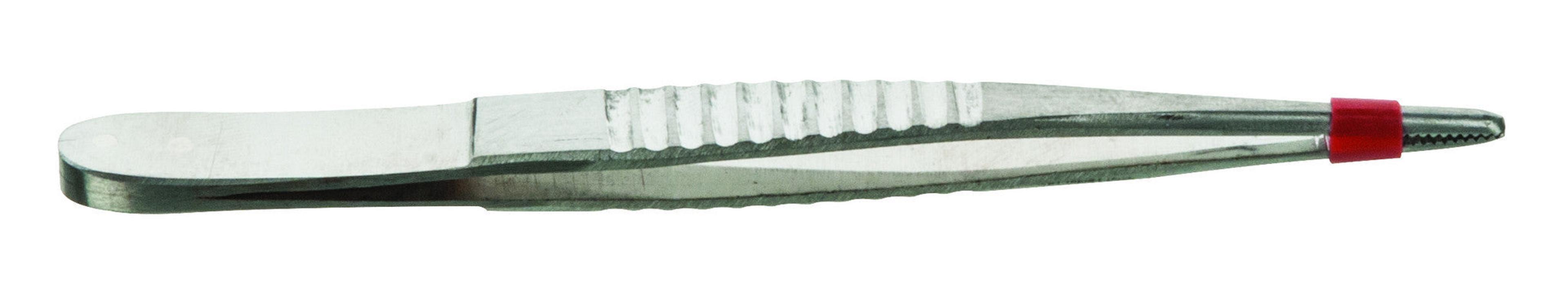 Blunt Forceps - 130mm - Pack of 10