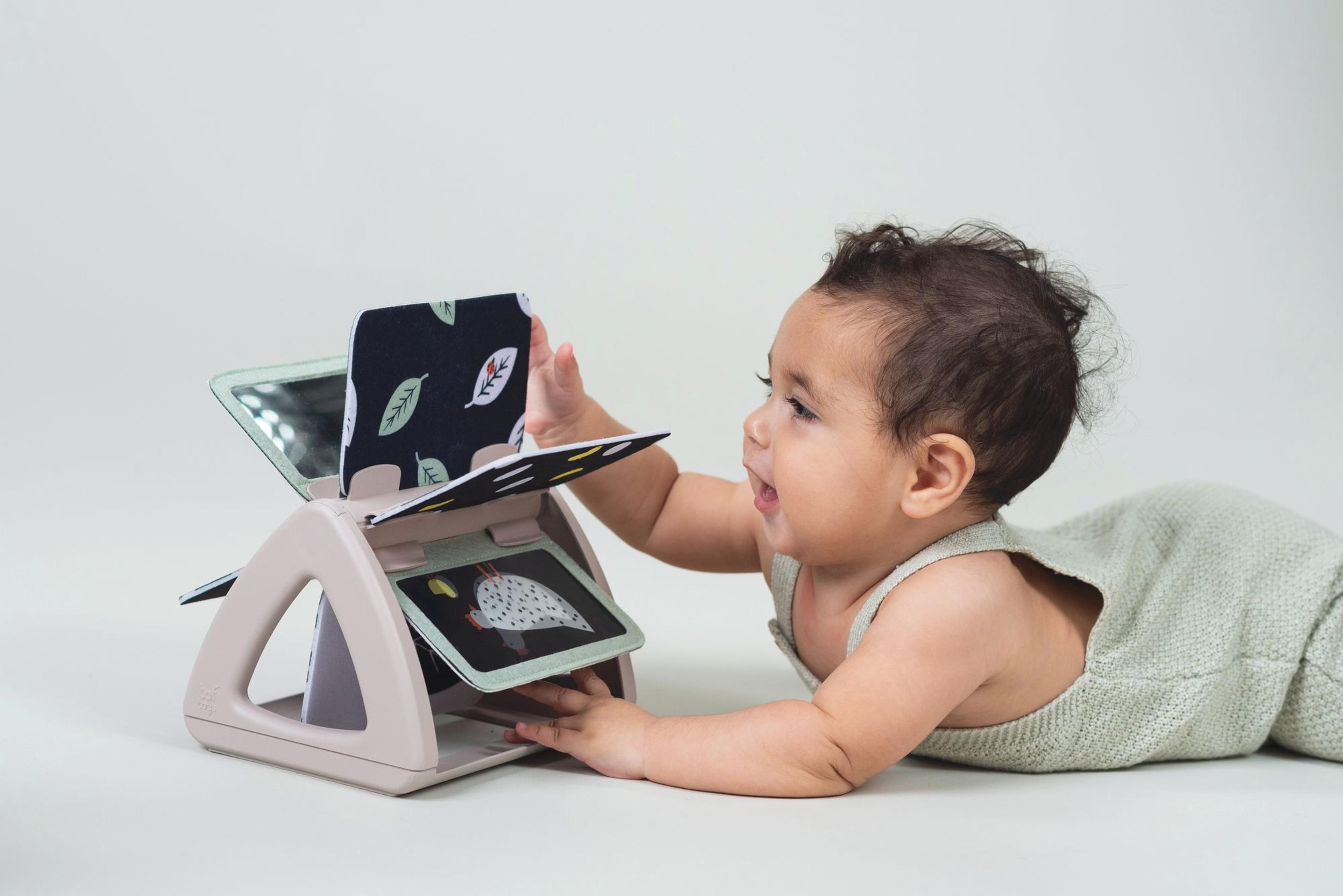 taf toys Black and White Spinning Book