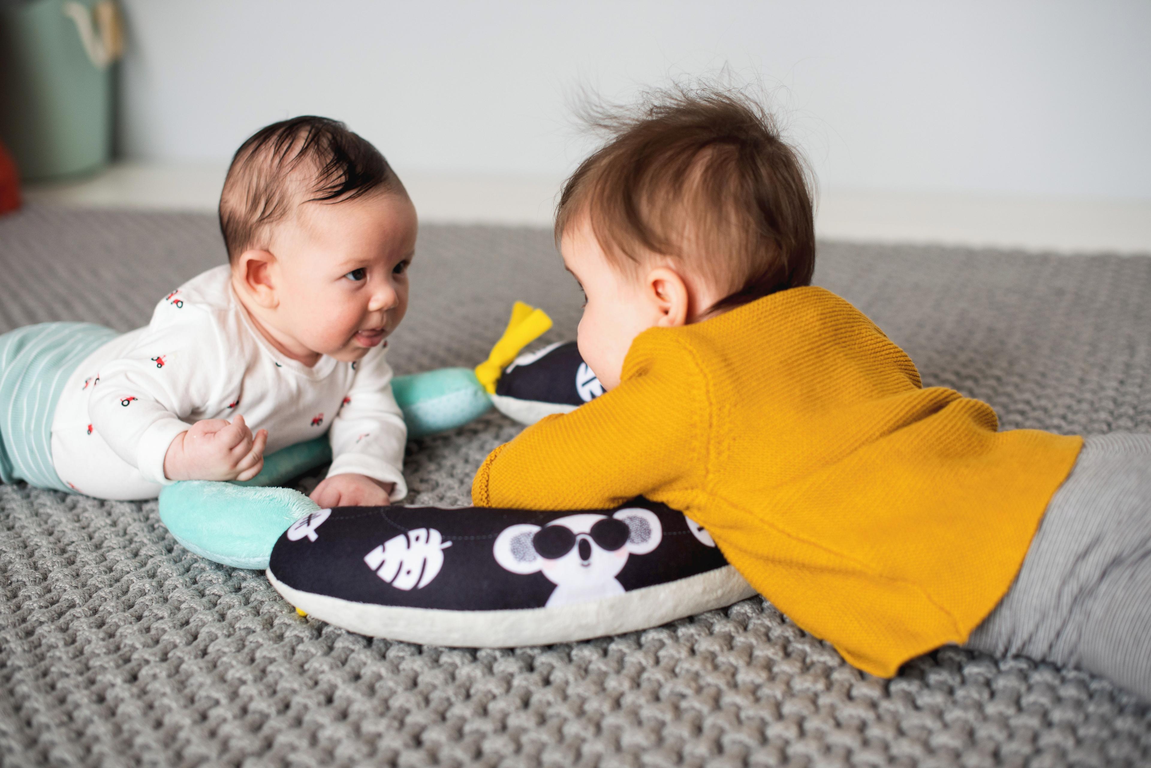 taf toys 2 in 1 Tummy Time Pillow