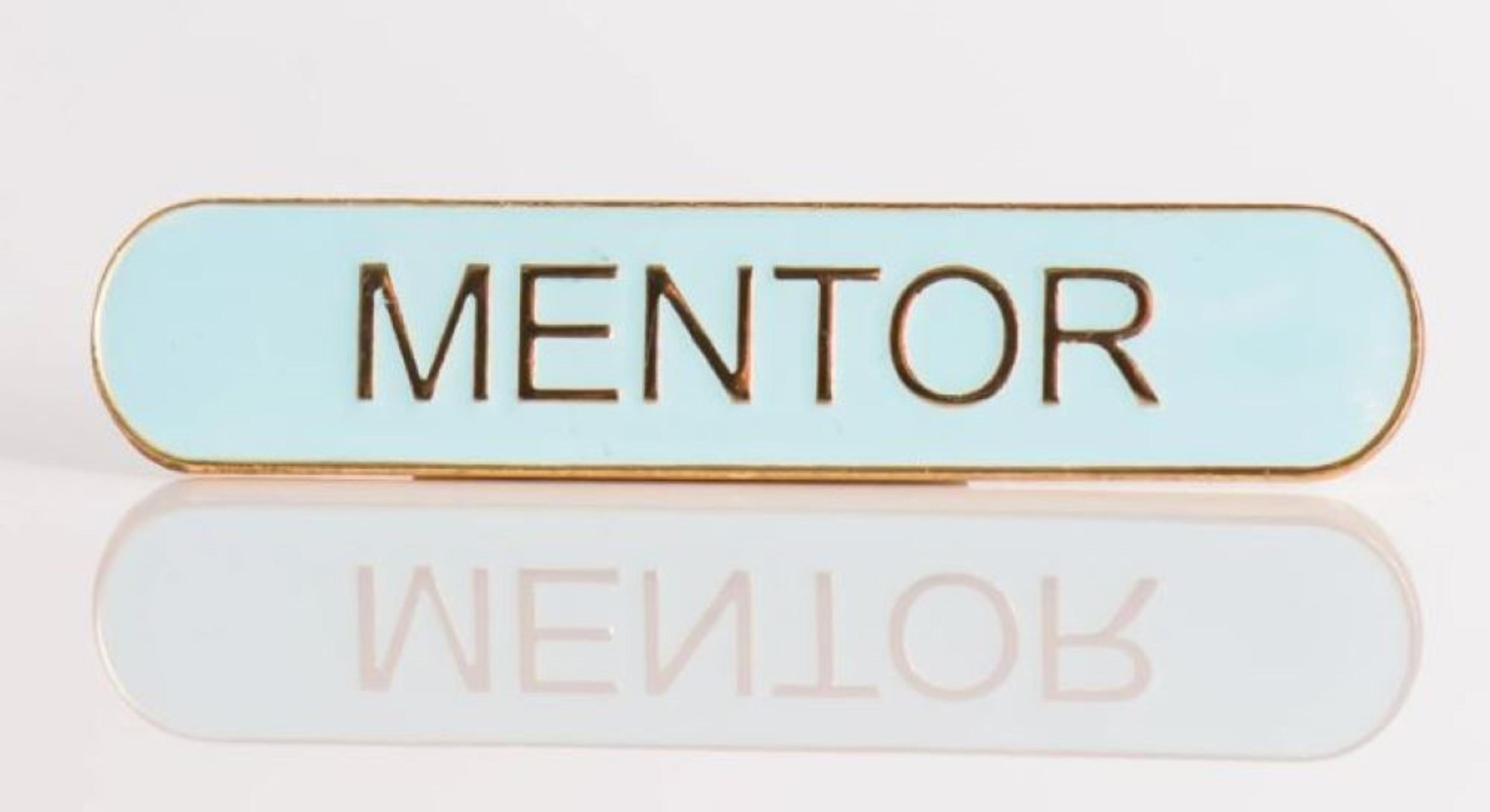 Mentor Bar Badge - Light Blue - Pack of 10