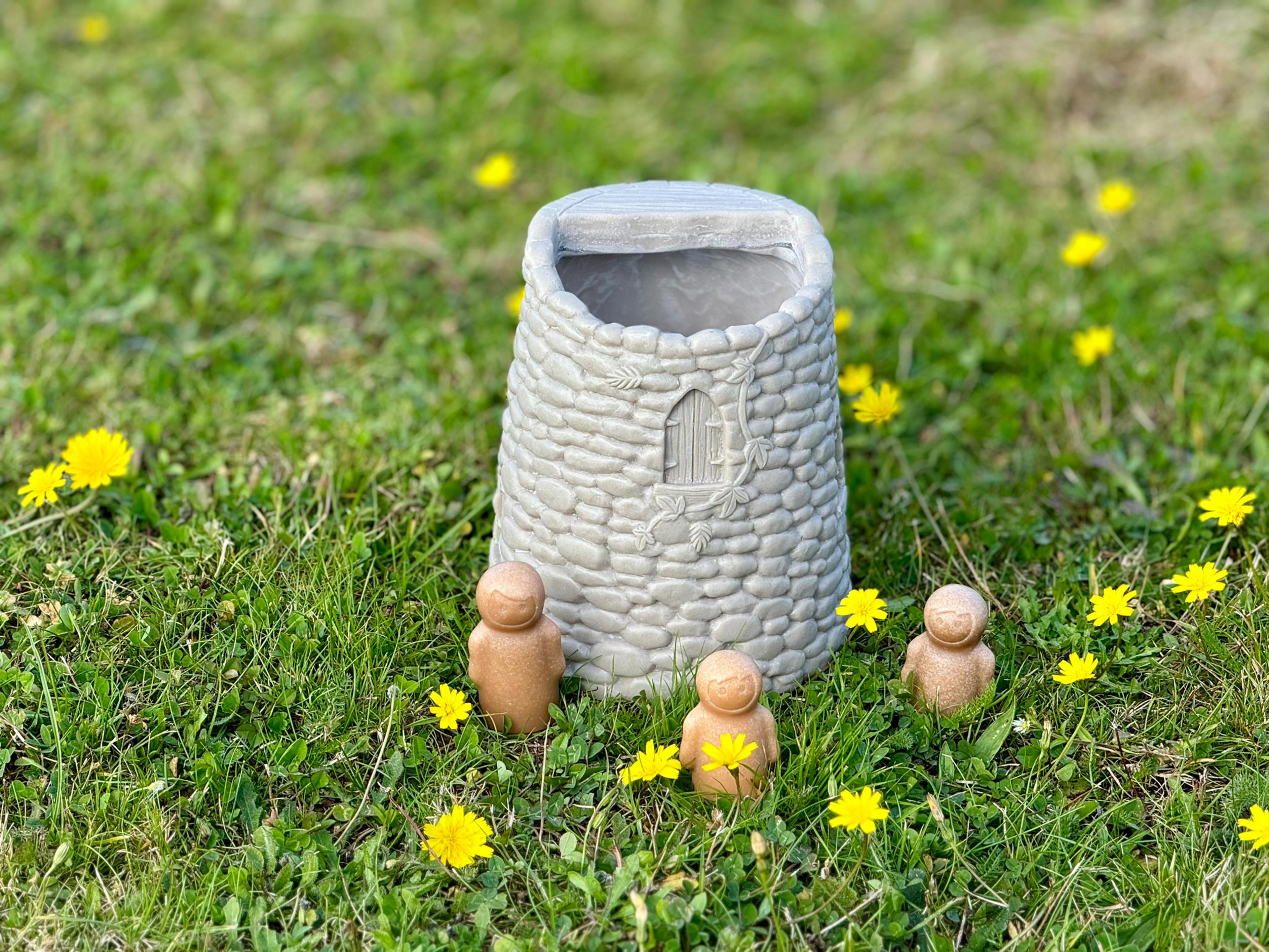 Image 6