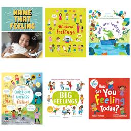 Feelings & Emotions Non Fiction Book Pack for EYFS/KS1
