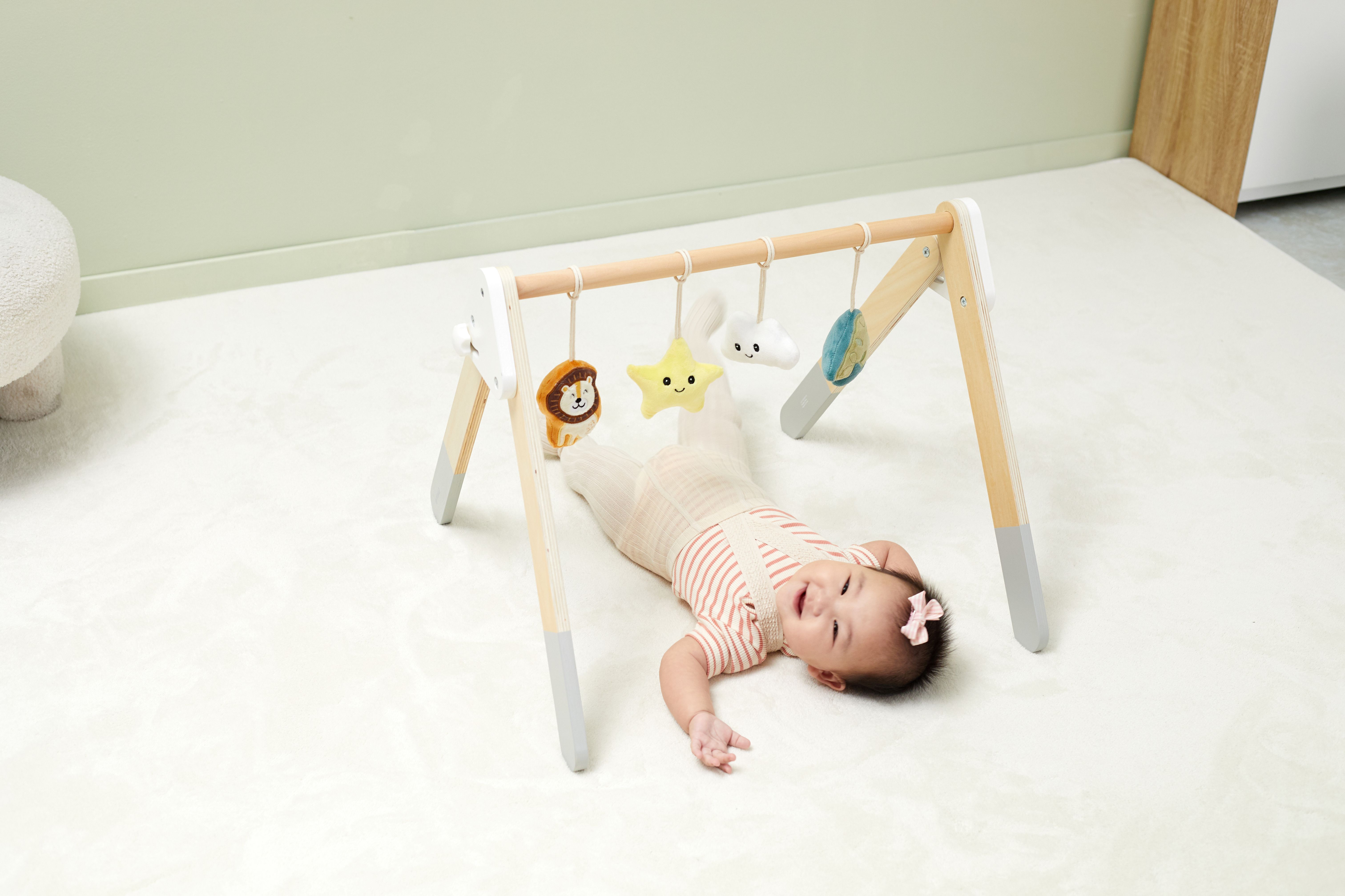 PolarB Baby Gym | CP00059550 | Findel International
