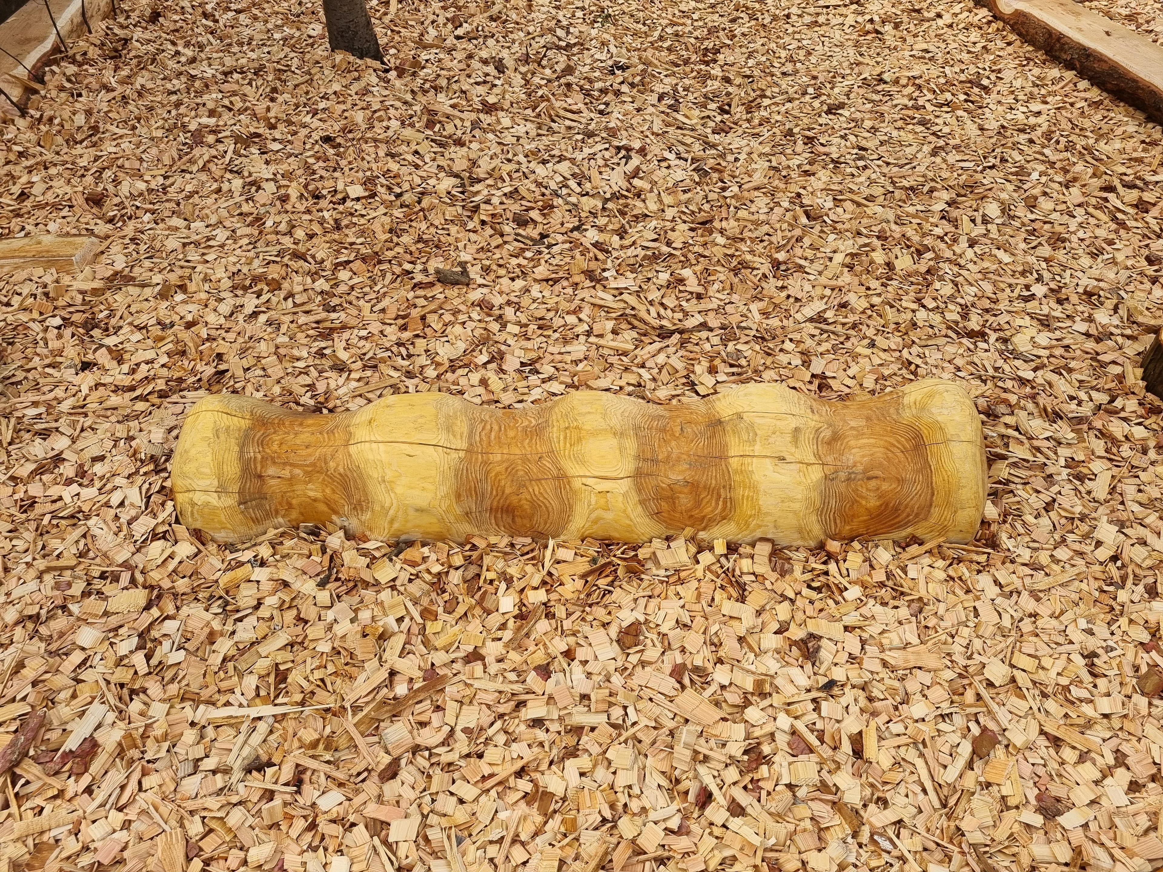 Outdoor Classrooms Caterpillar Balancer Seat