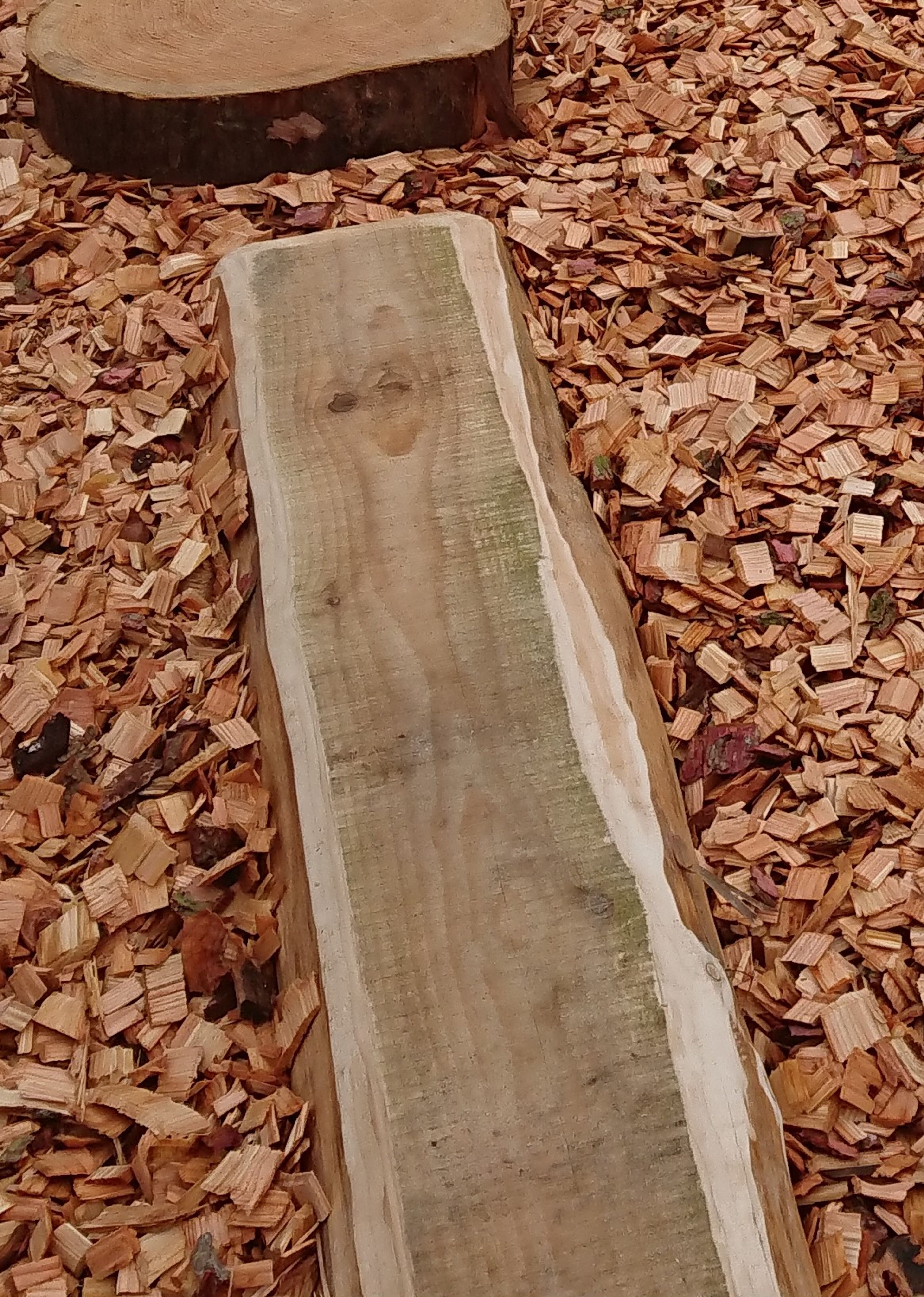 Outdoor Classrooms Log Section Wood Balancer