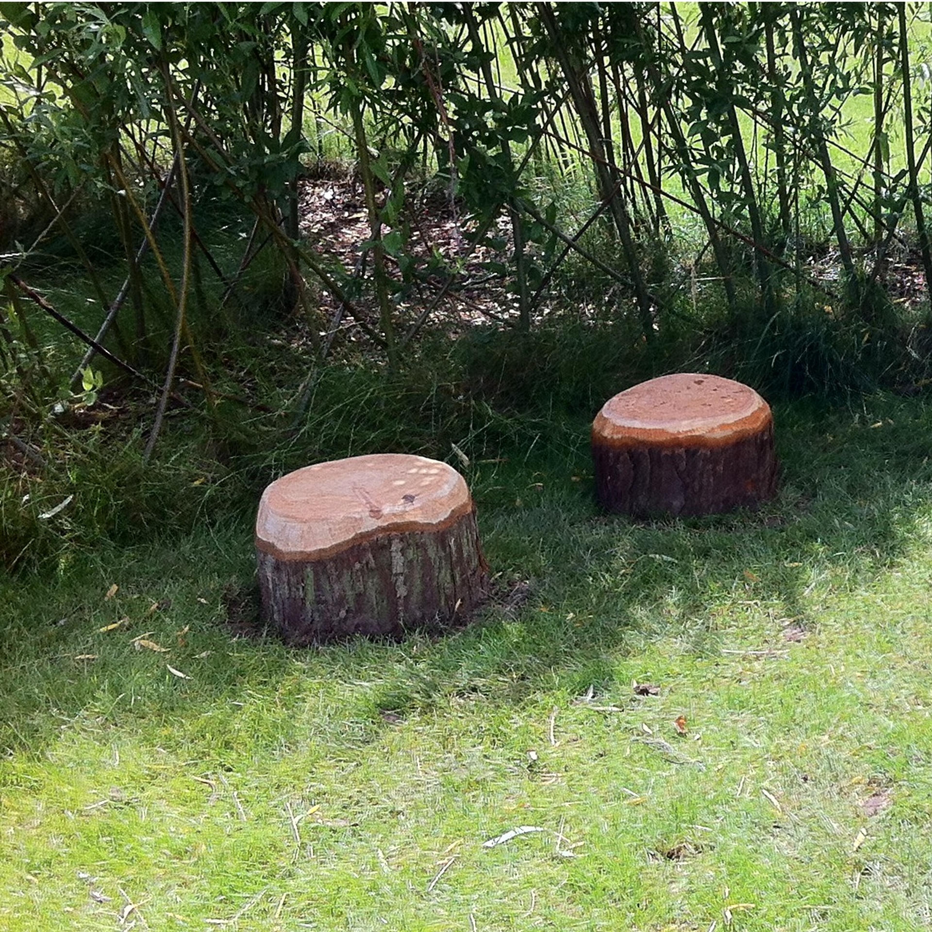 Outdoor Classrooms Stomp Seats - Pack of 2