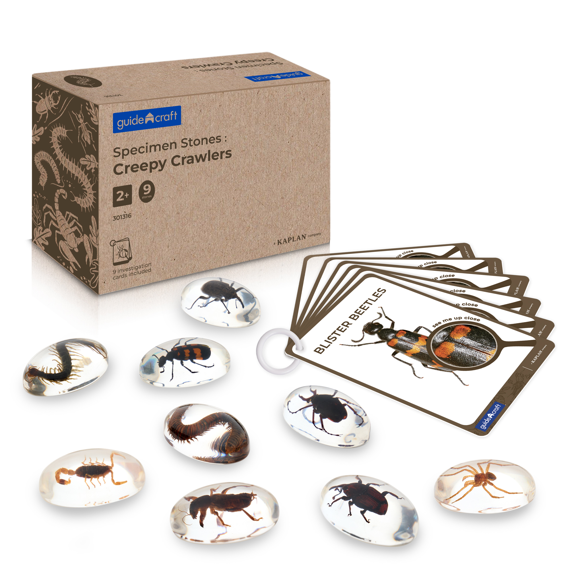 Specimen Stones Creepy Crawlers