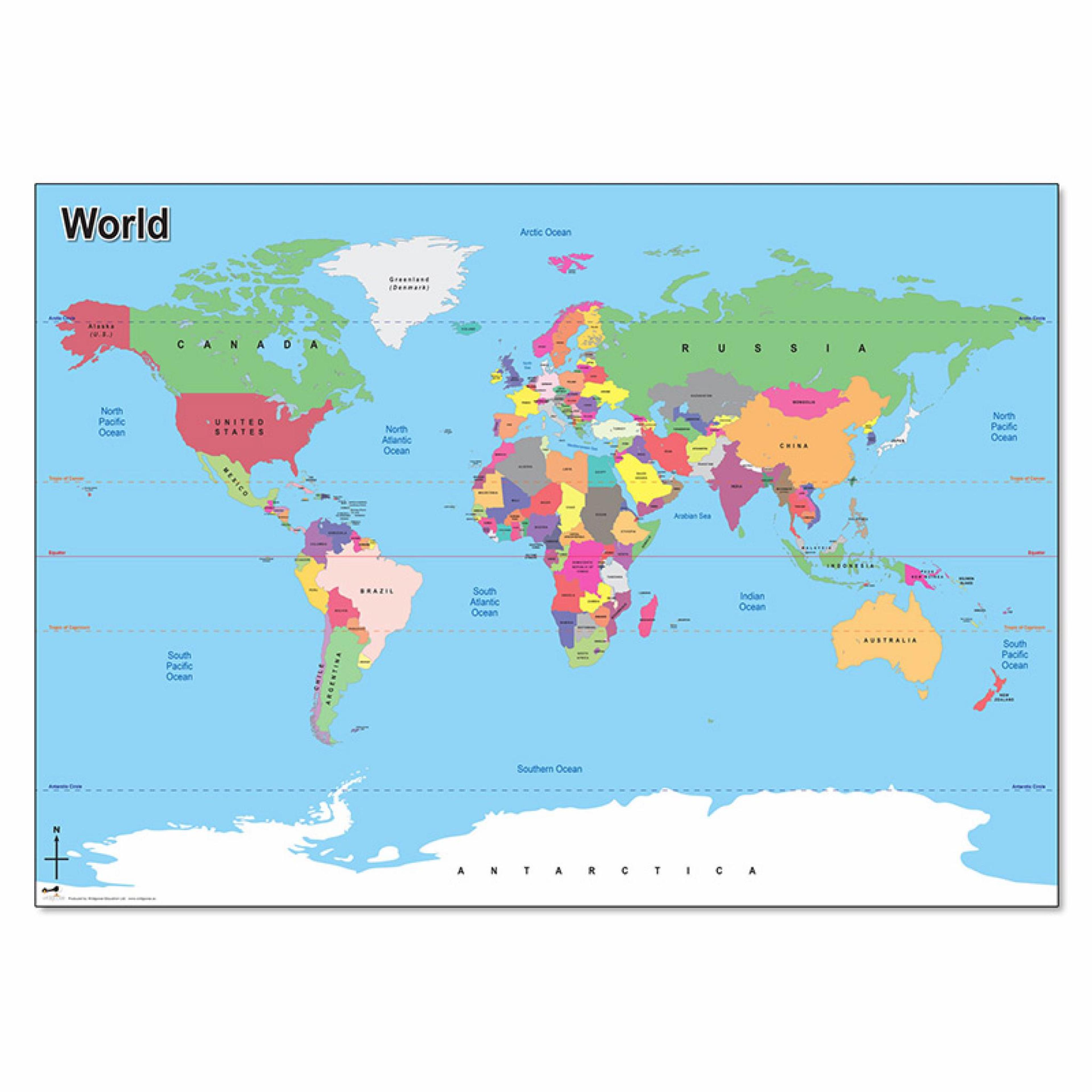 Wildgoose Large Vinyl Map of the World