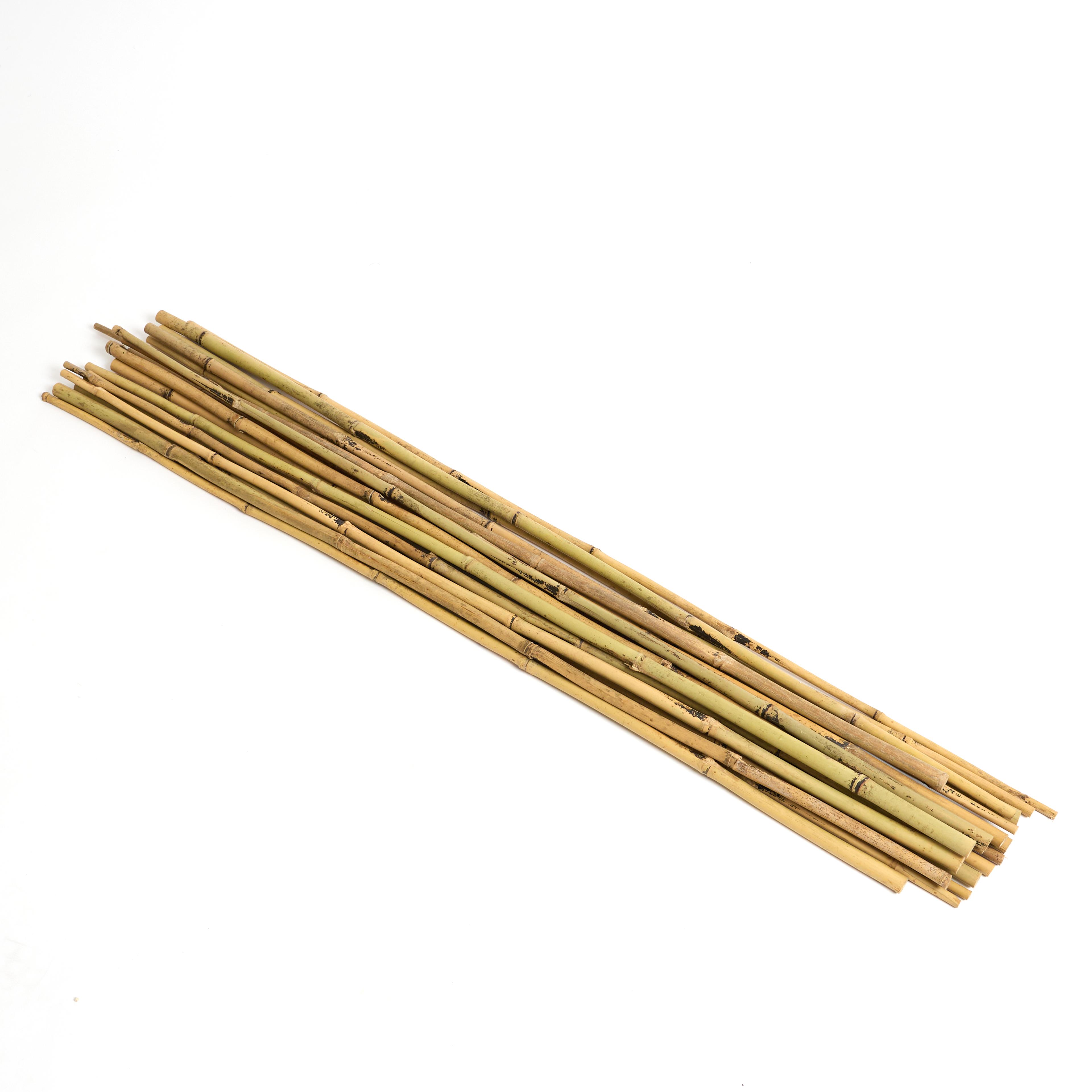 Den Building Canes - Pack of 20 