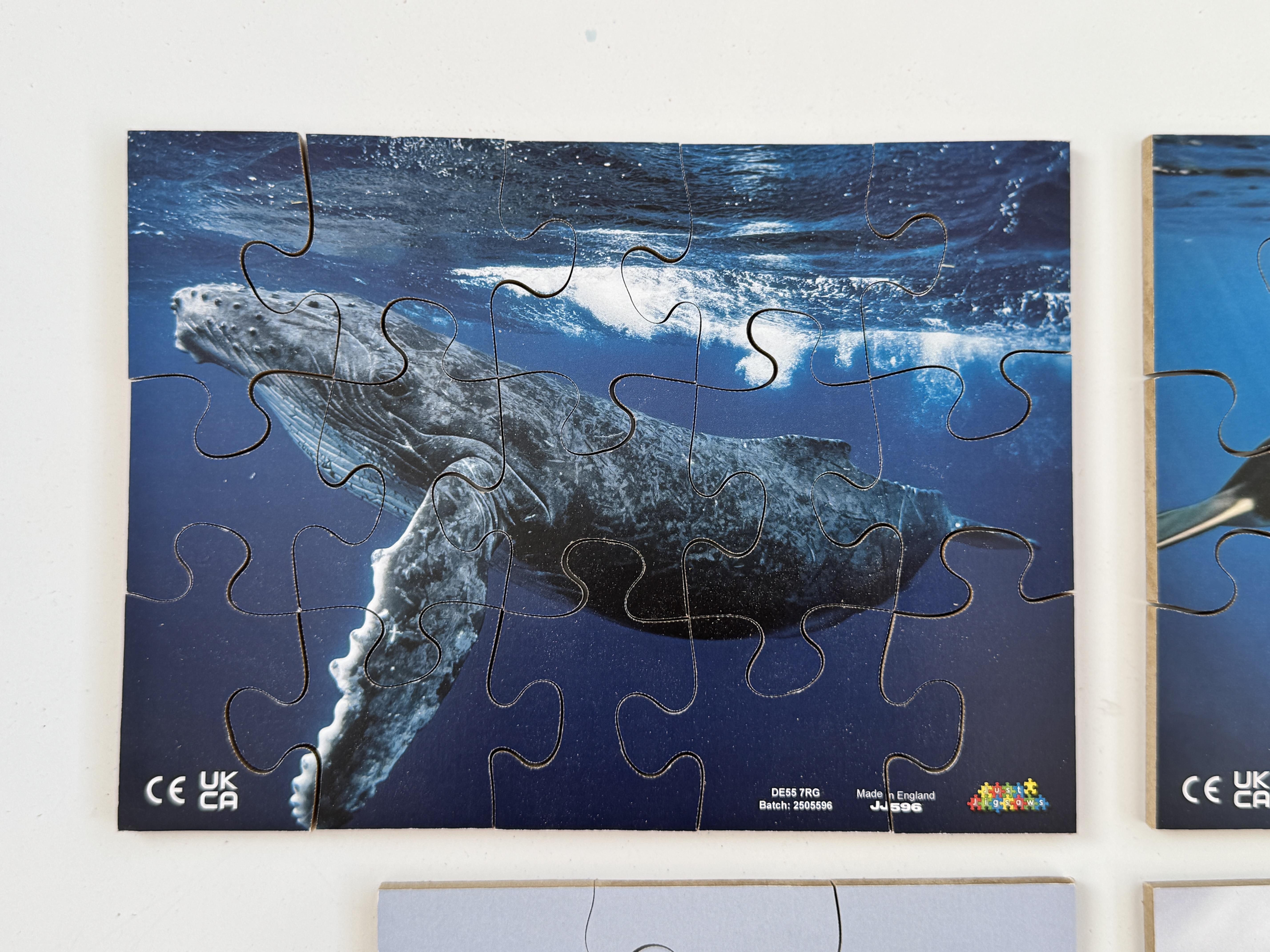 Polar Regions Animals - Pack of 8