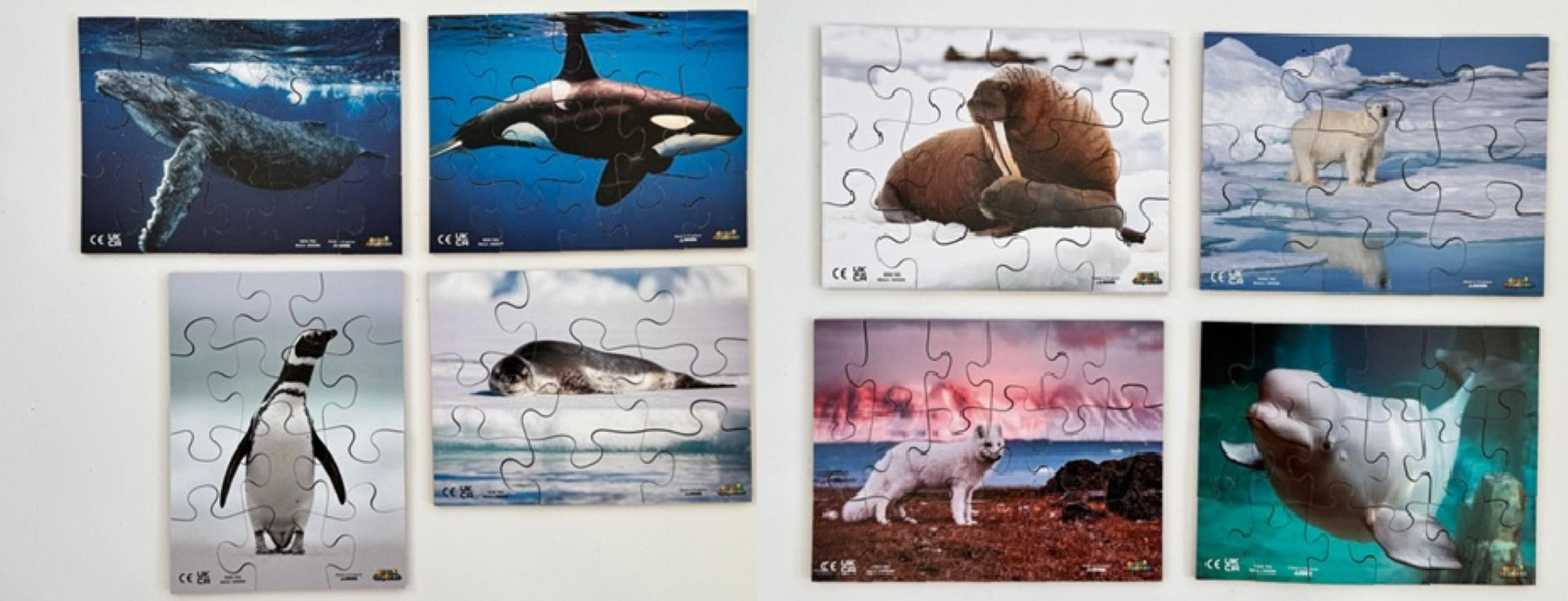 Just Jigsaws Polar Regions Animals - Pack of 8