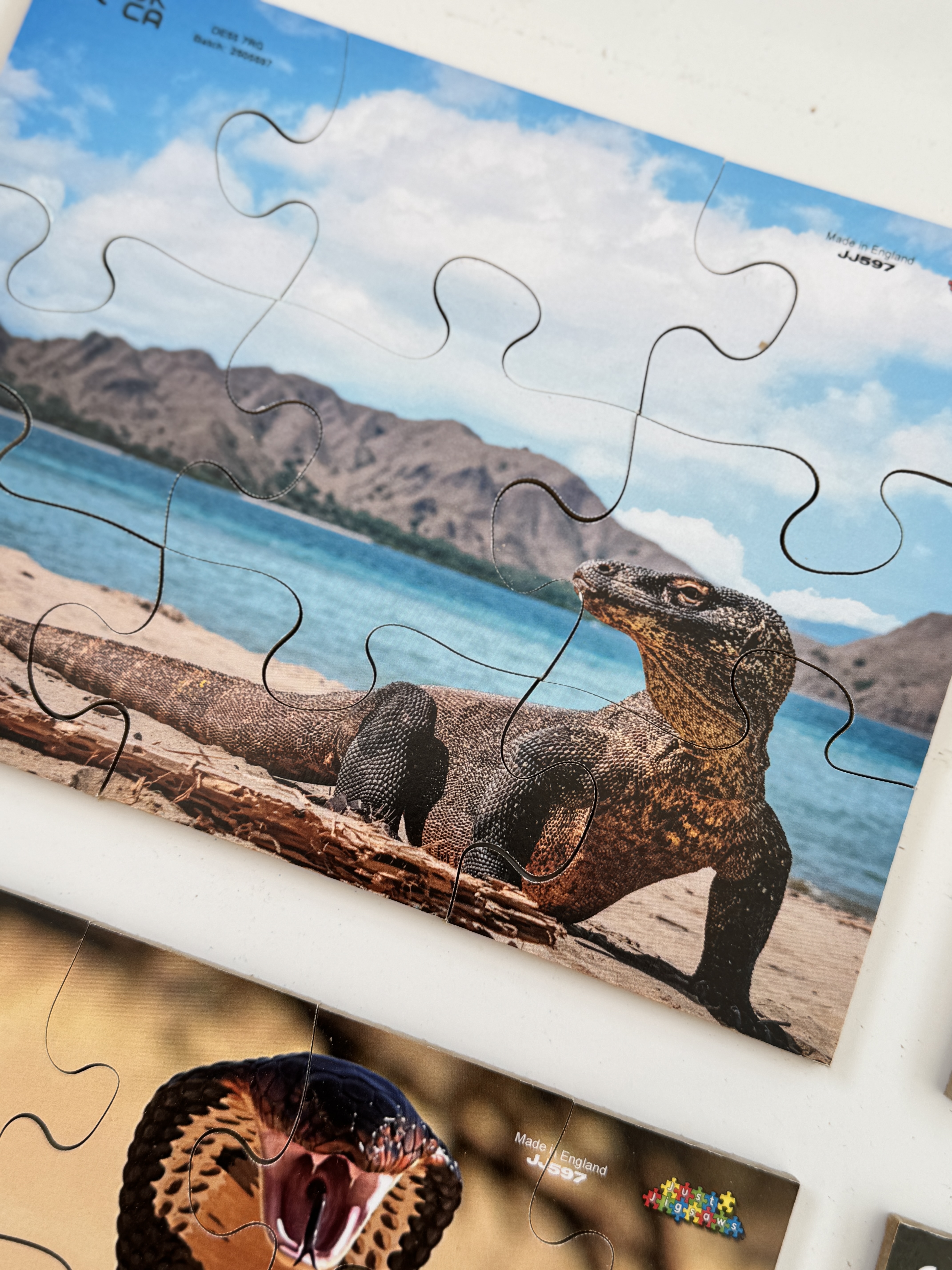 Just Jigsaws Reptile Jigsaws - Pack of 8