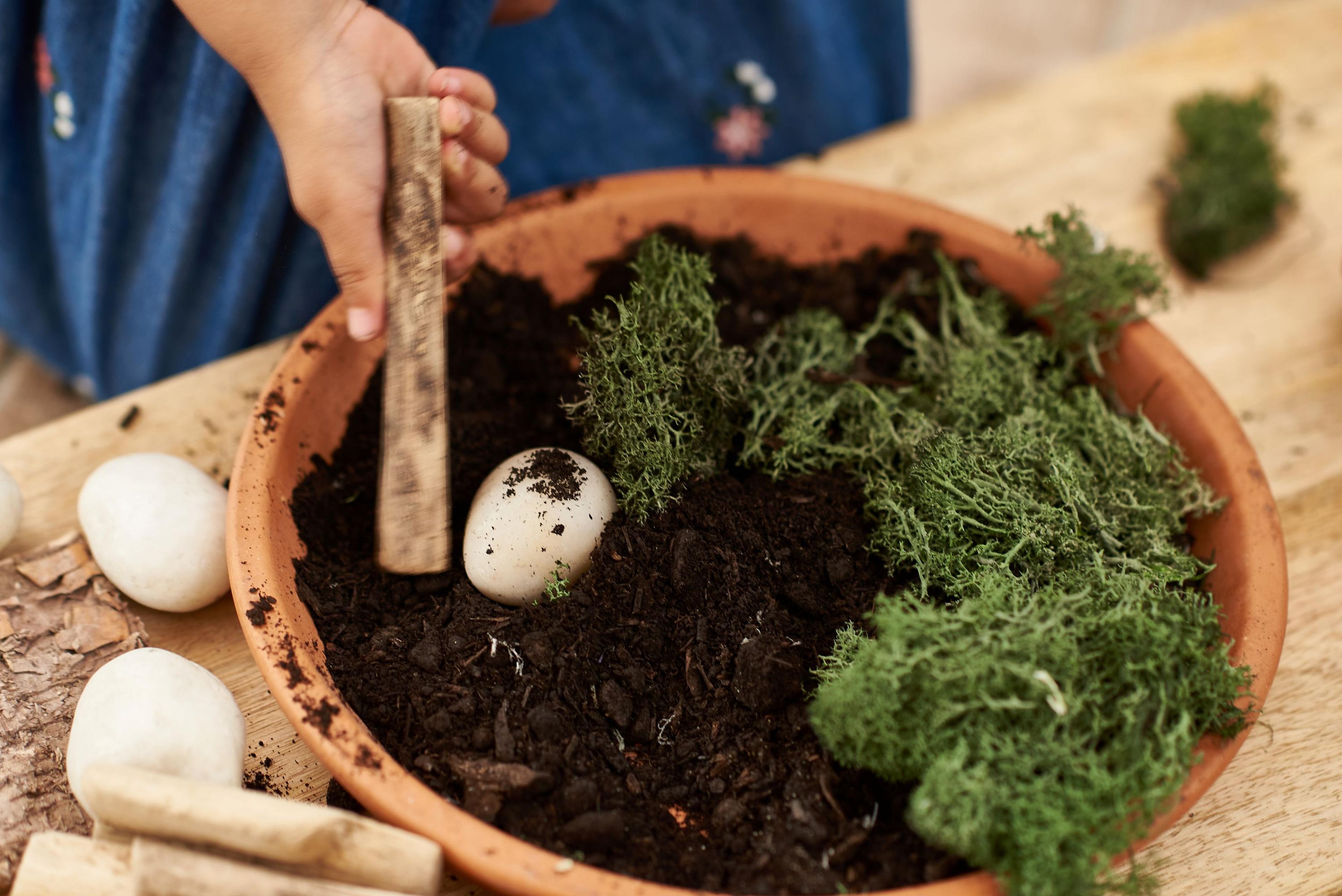 Rainbow Eco Play Finland Moss Dark Green 100g