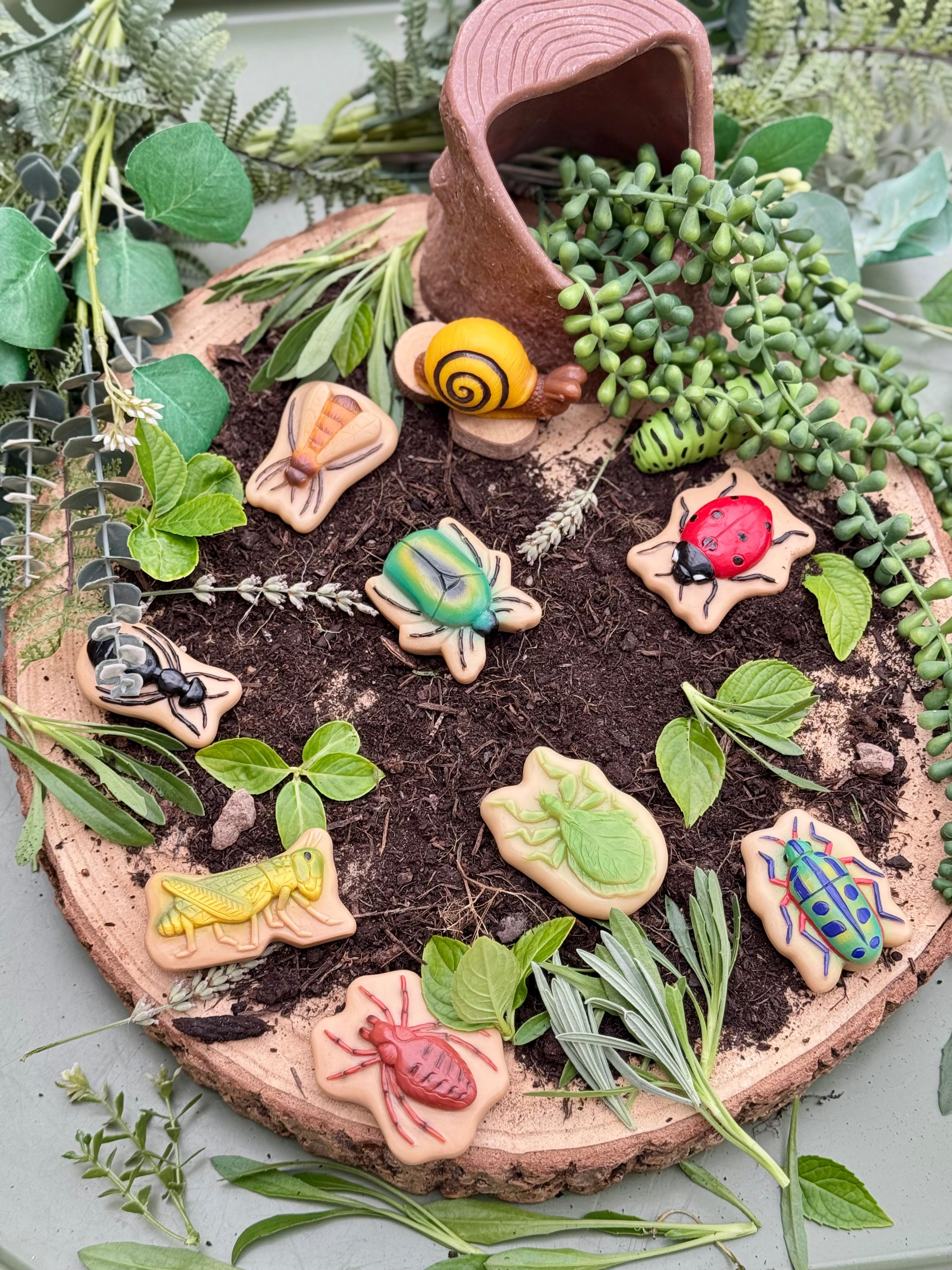 Yellow DOOR  Sensory Play Stones - Bugs