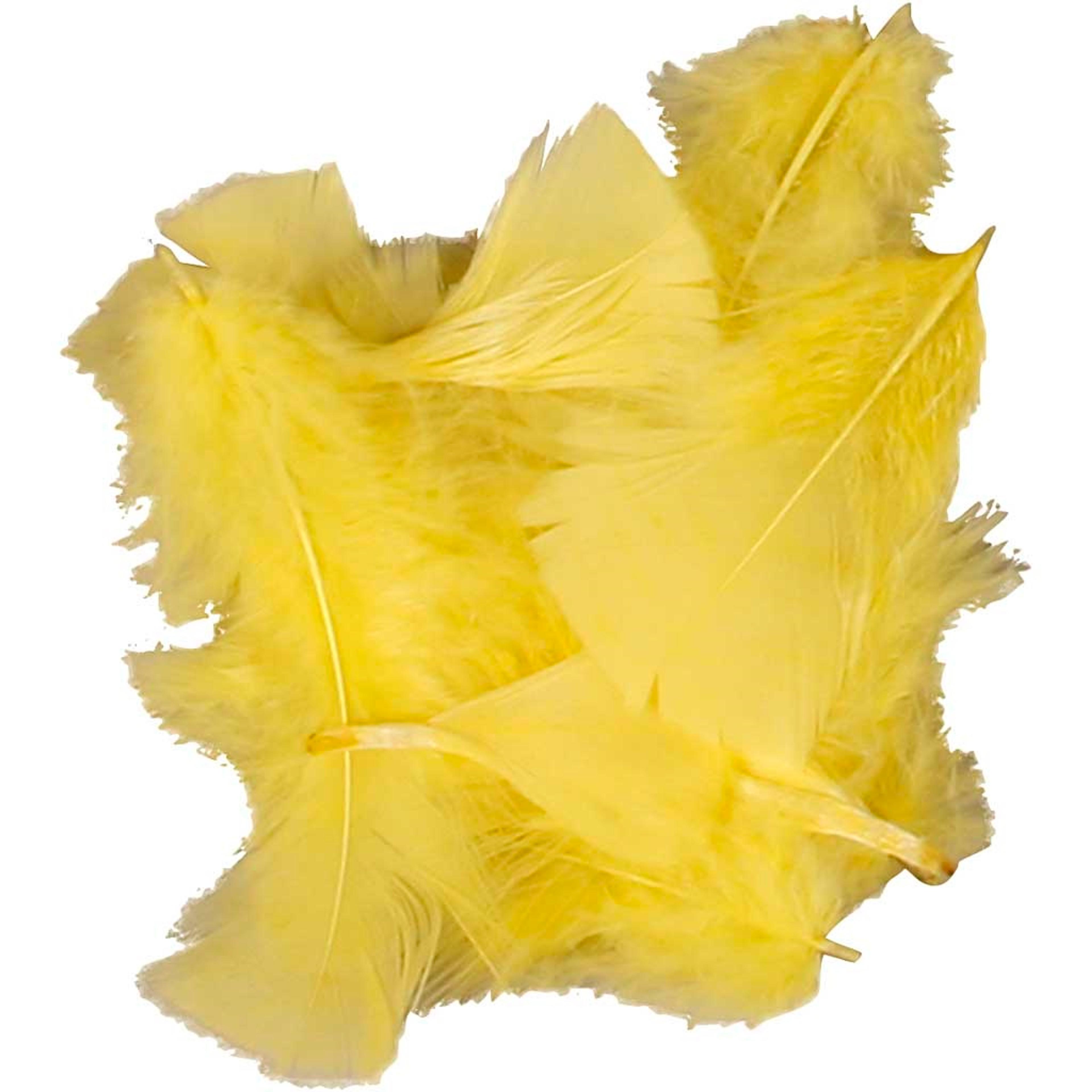 Yellow Down Feathers - 7-8cm - 50g