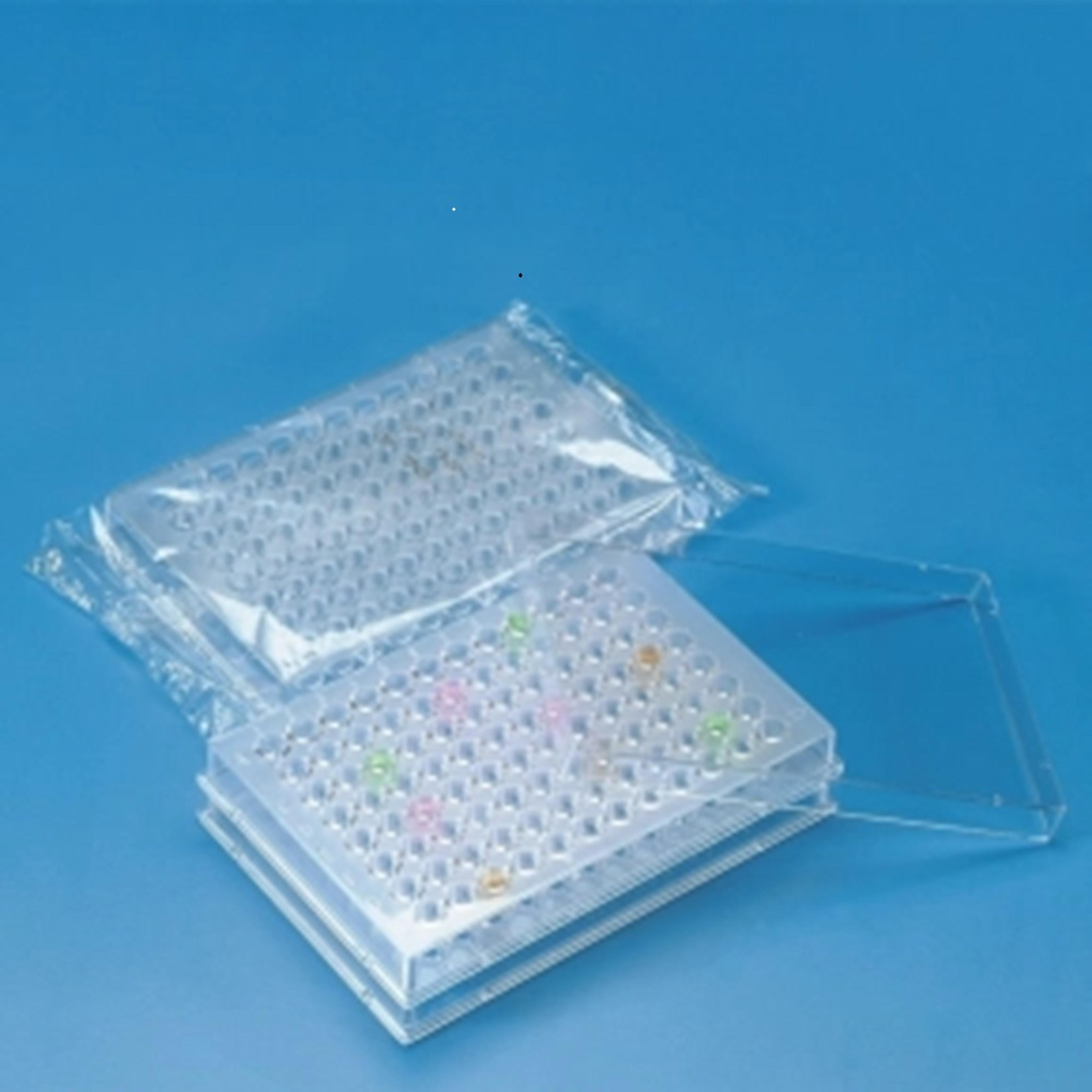 Findel Everyday Comboplates - Pack of 10