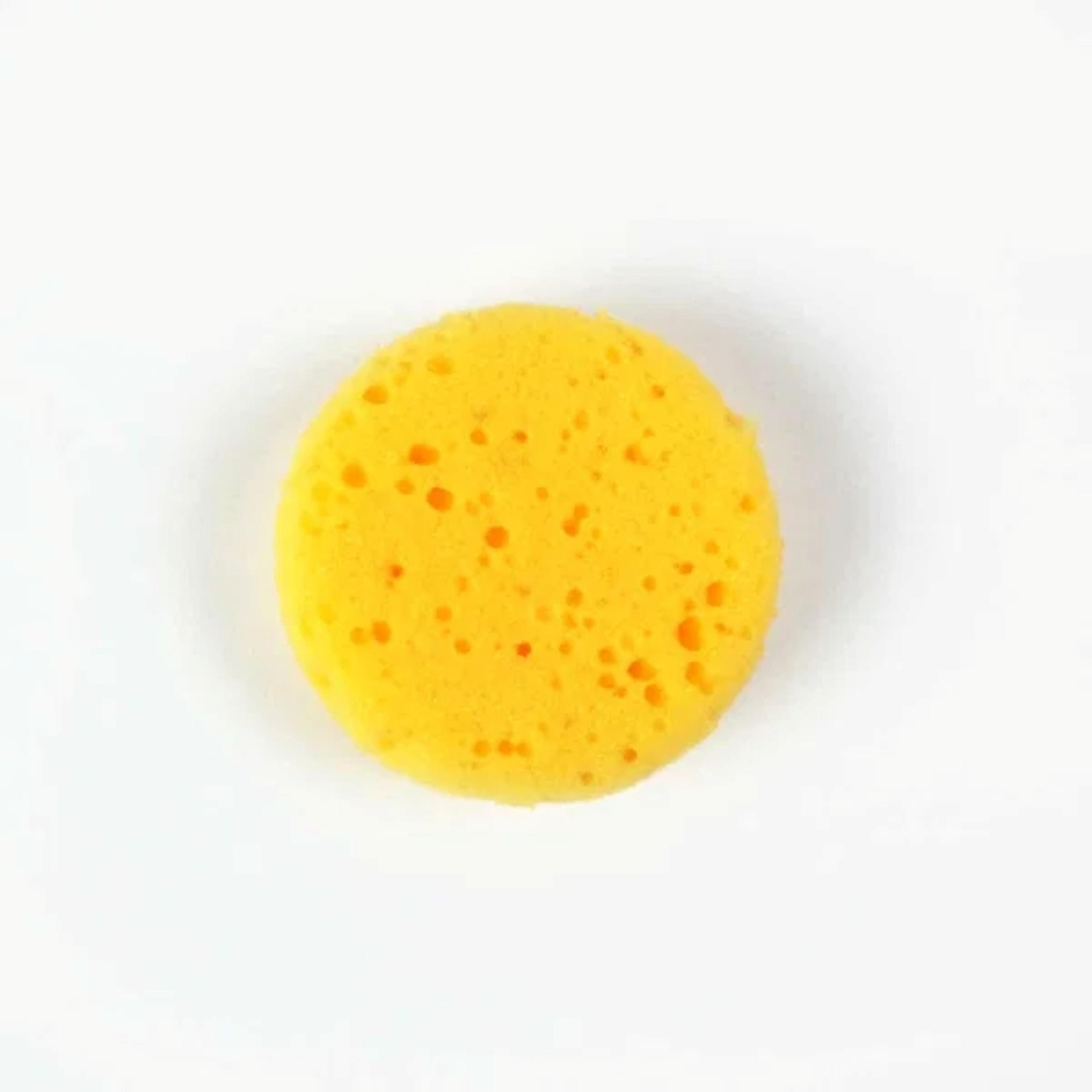 Seawhite Synthetic Art Sponge