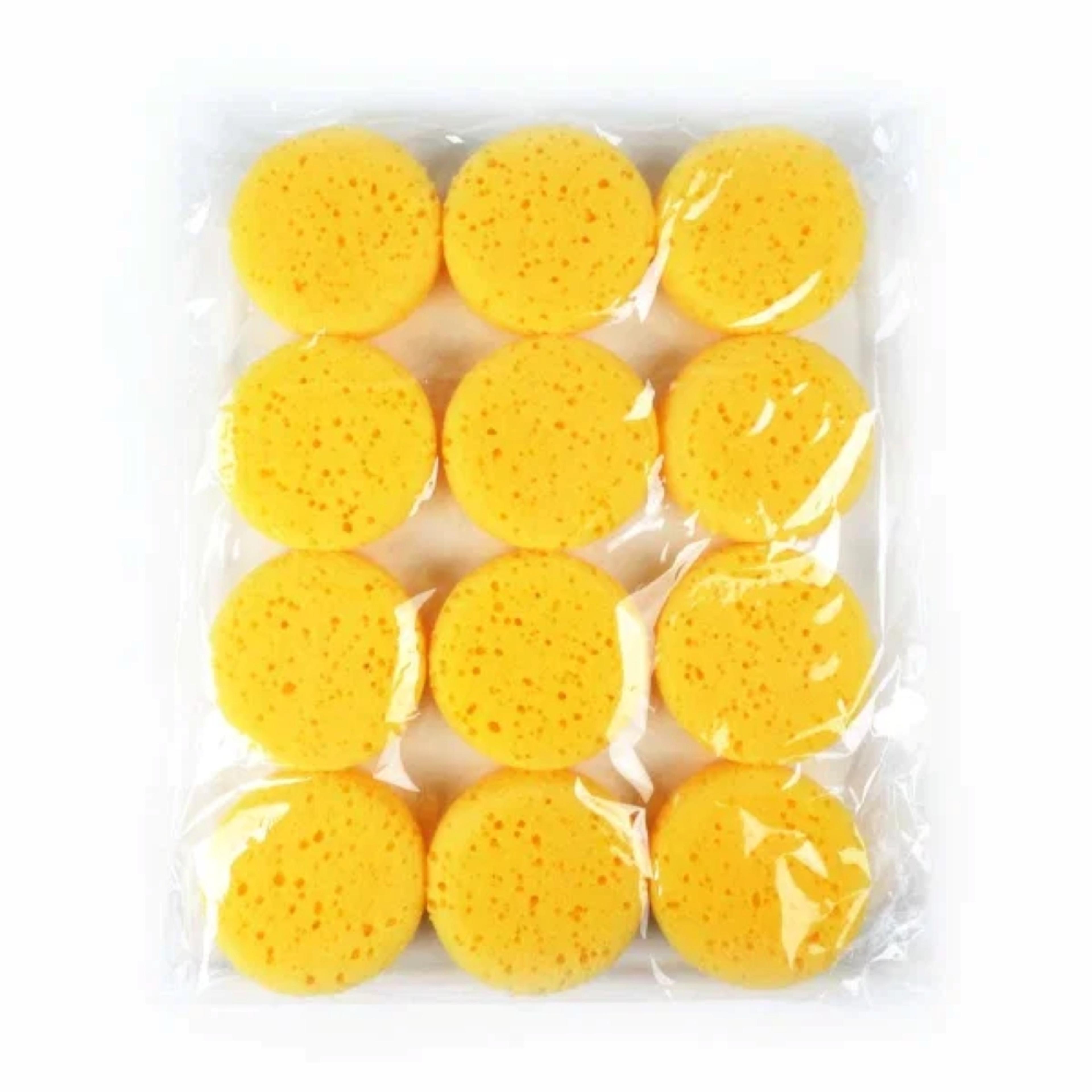 Seawhite Synthetic Art Sponges - Pack of 12
