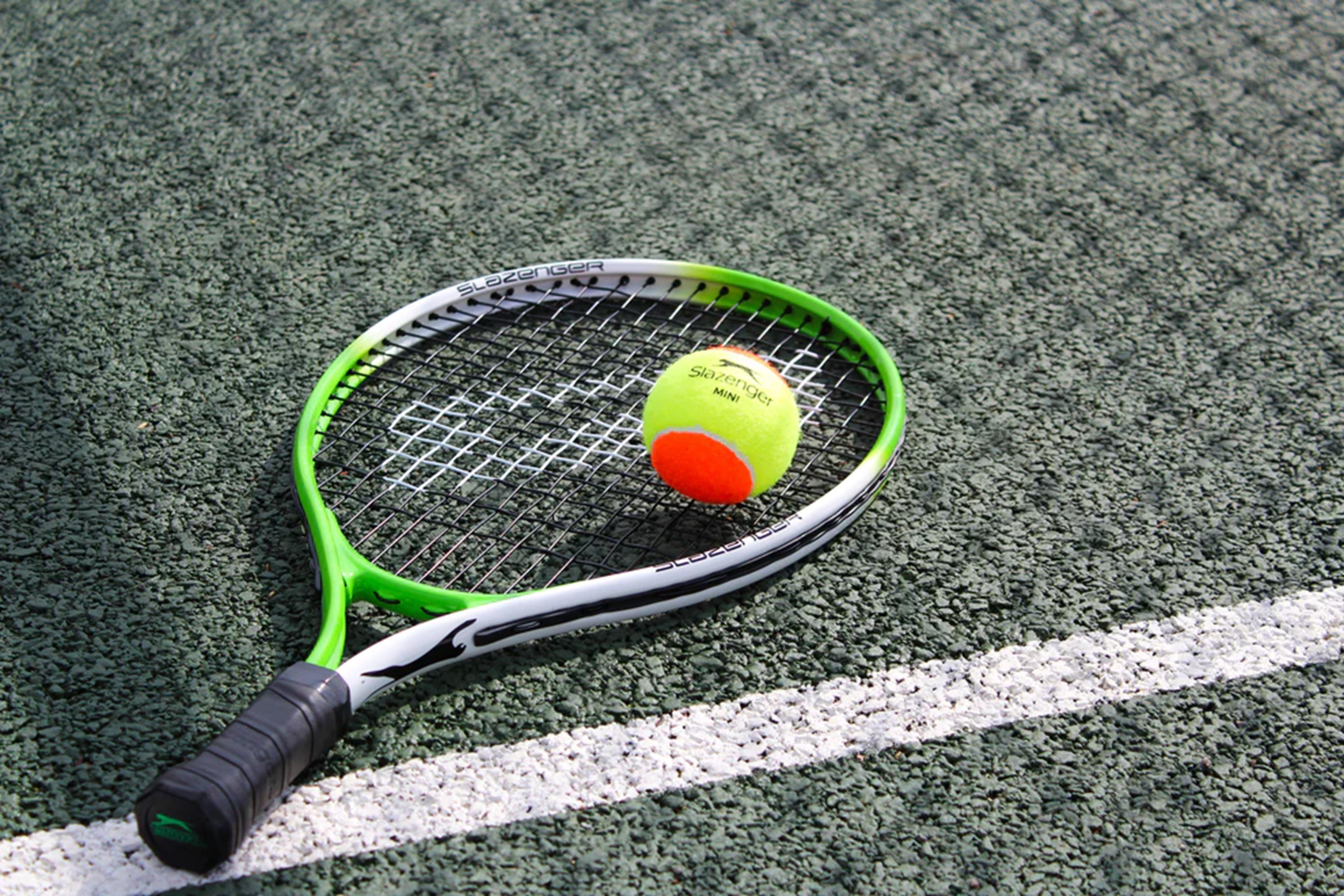 Image 4