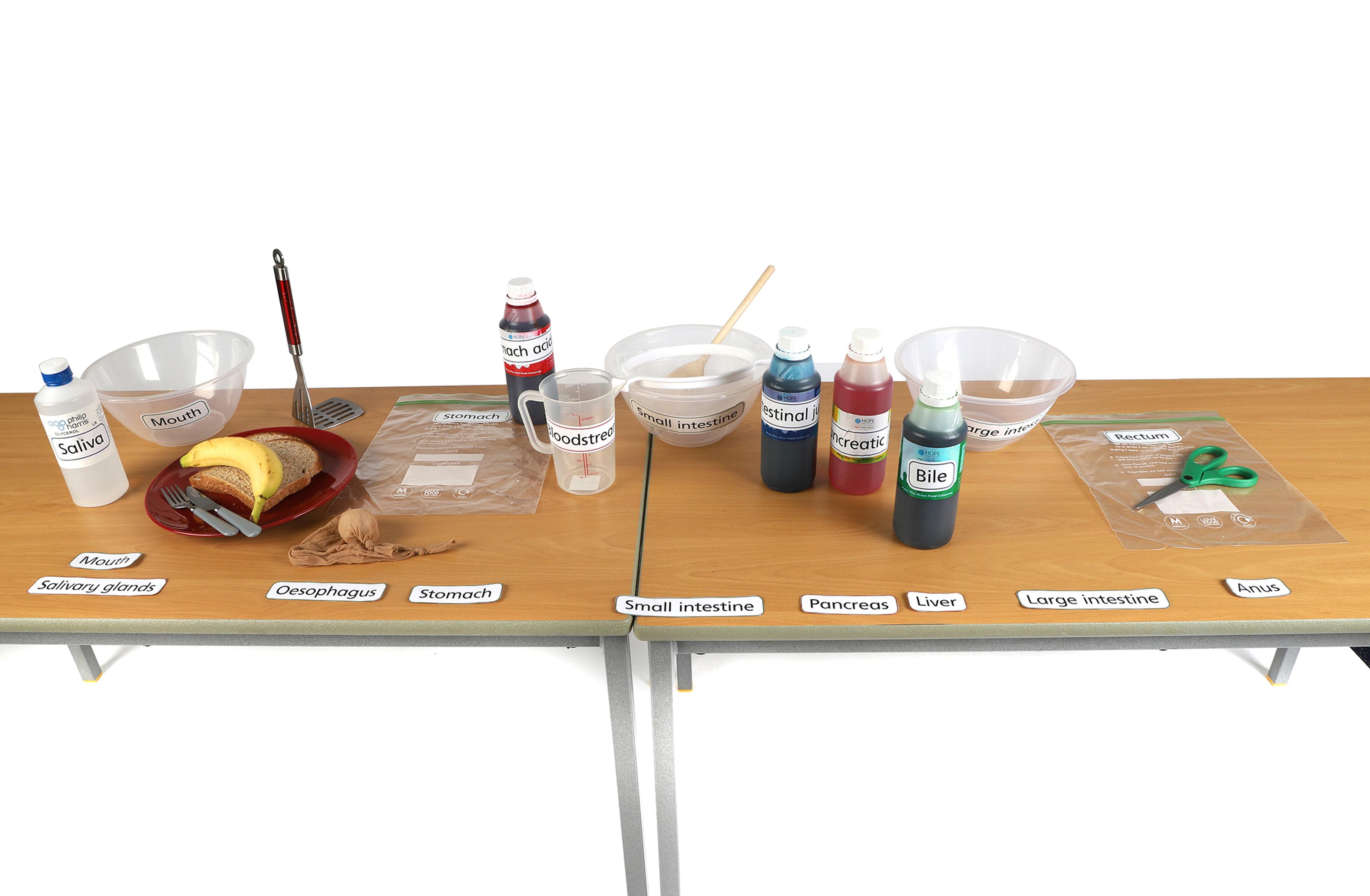 Food Machine Kit from Hope Education