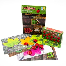 Lady Bugs Counting Kit from Hope Education