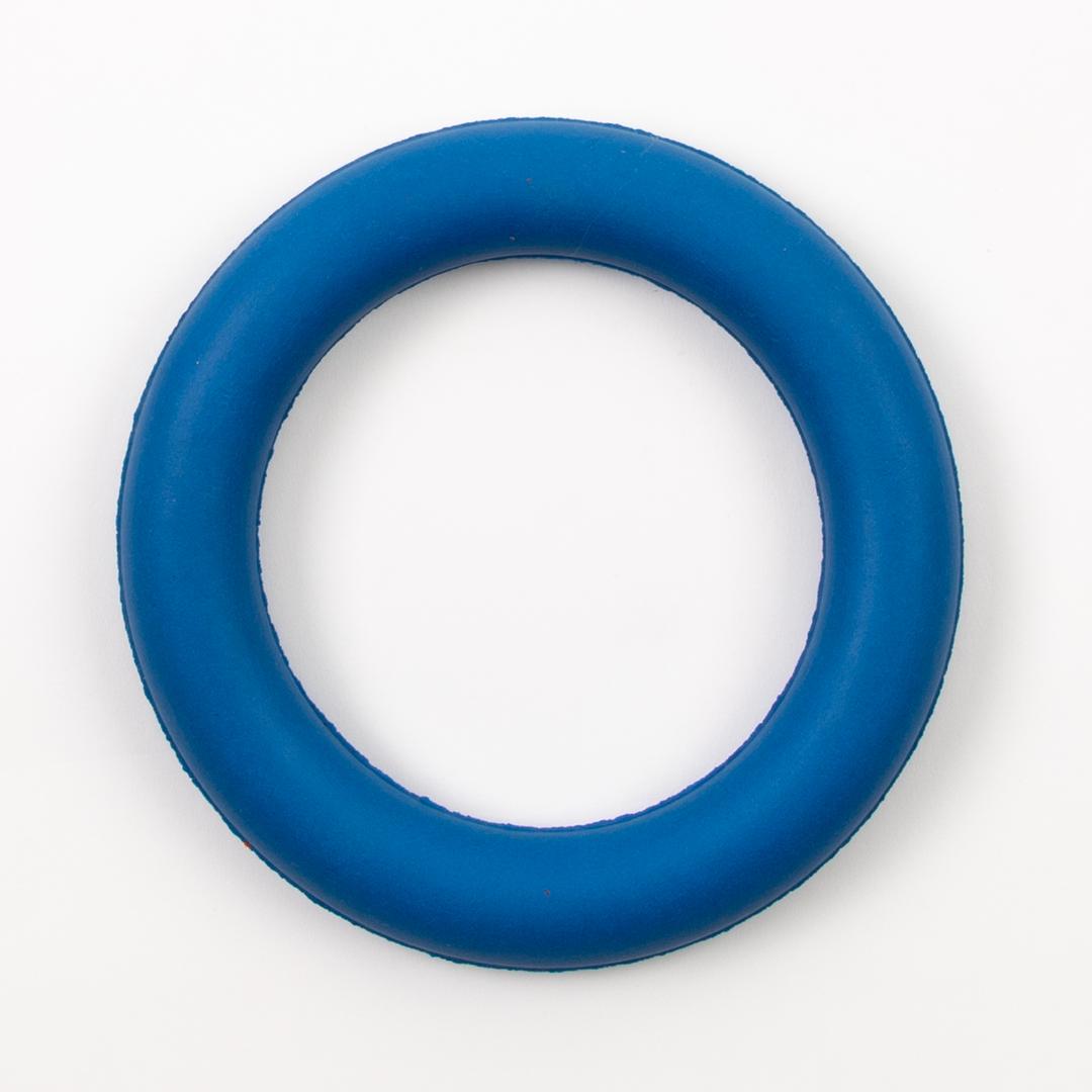 Findel Everyday Rubber Quoit - Blue | CP056765AC | Findel International