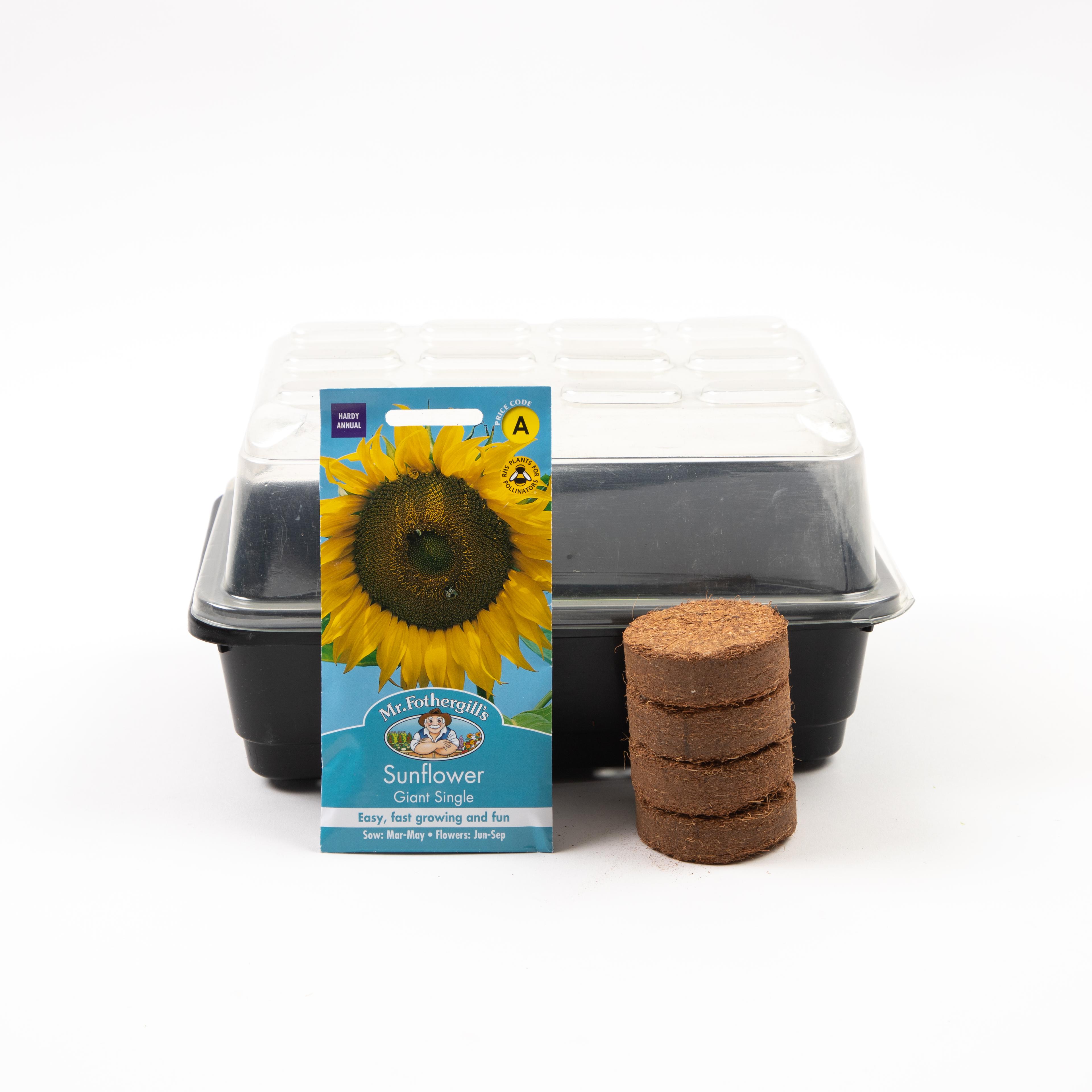 GroBox Sunflower