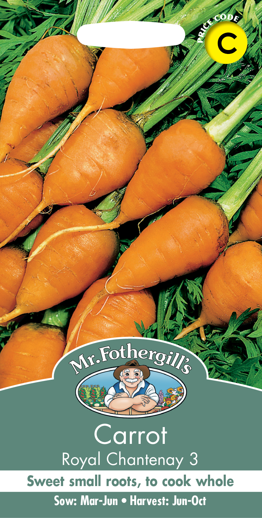 Gro Box Carrots by Hope Education