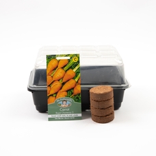 CP056928 - Gro Box Basil by Hope Education | Findel International