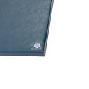 Standard Blue