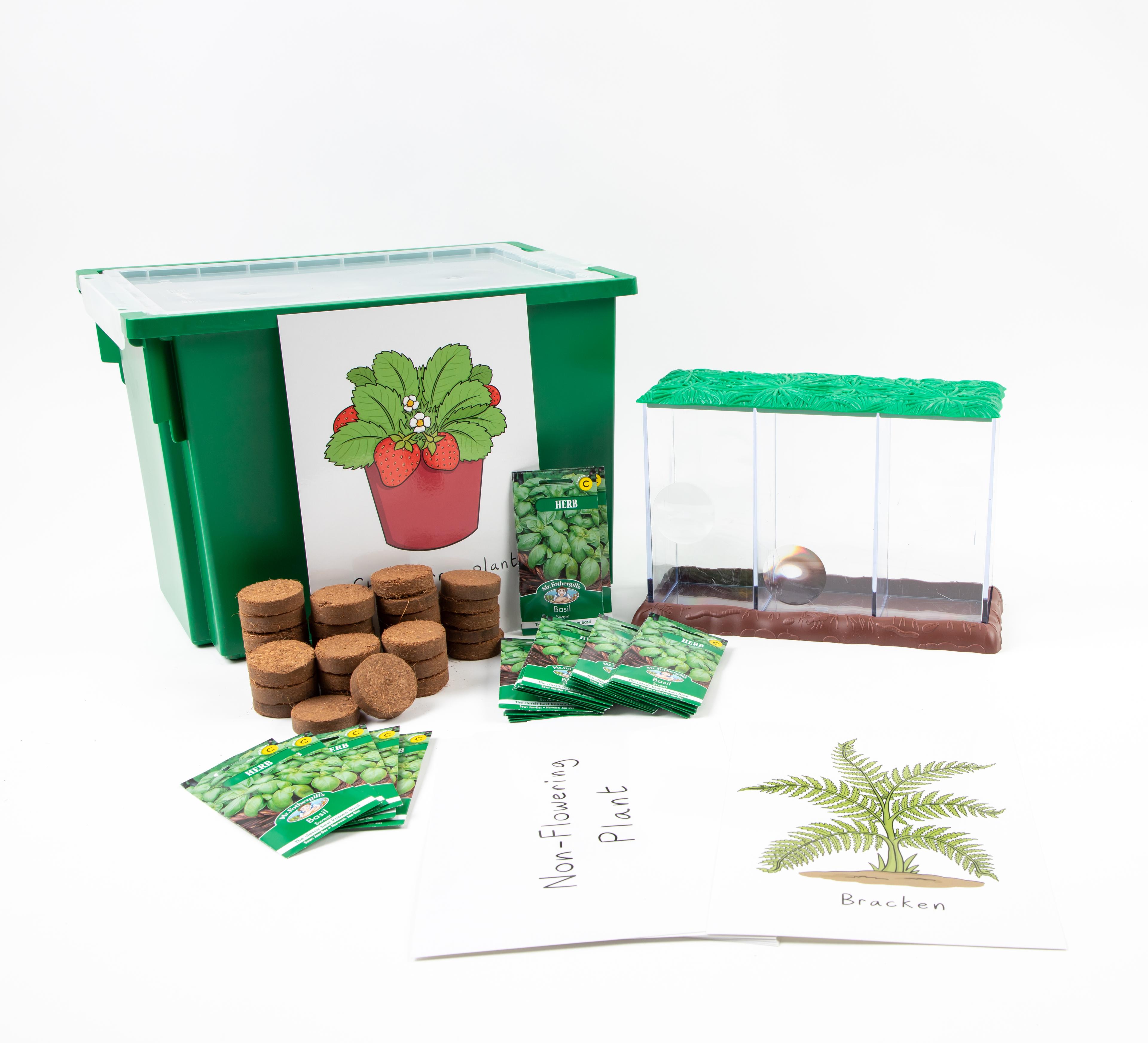 Autumn Seasonal Growing Kit by Hope Education