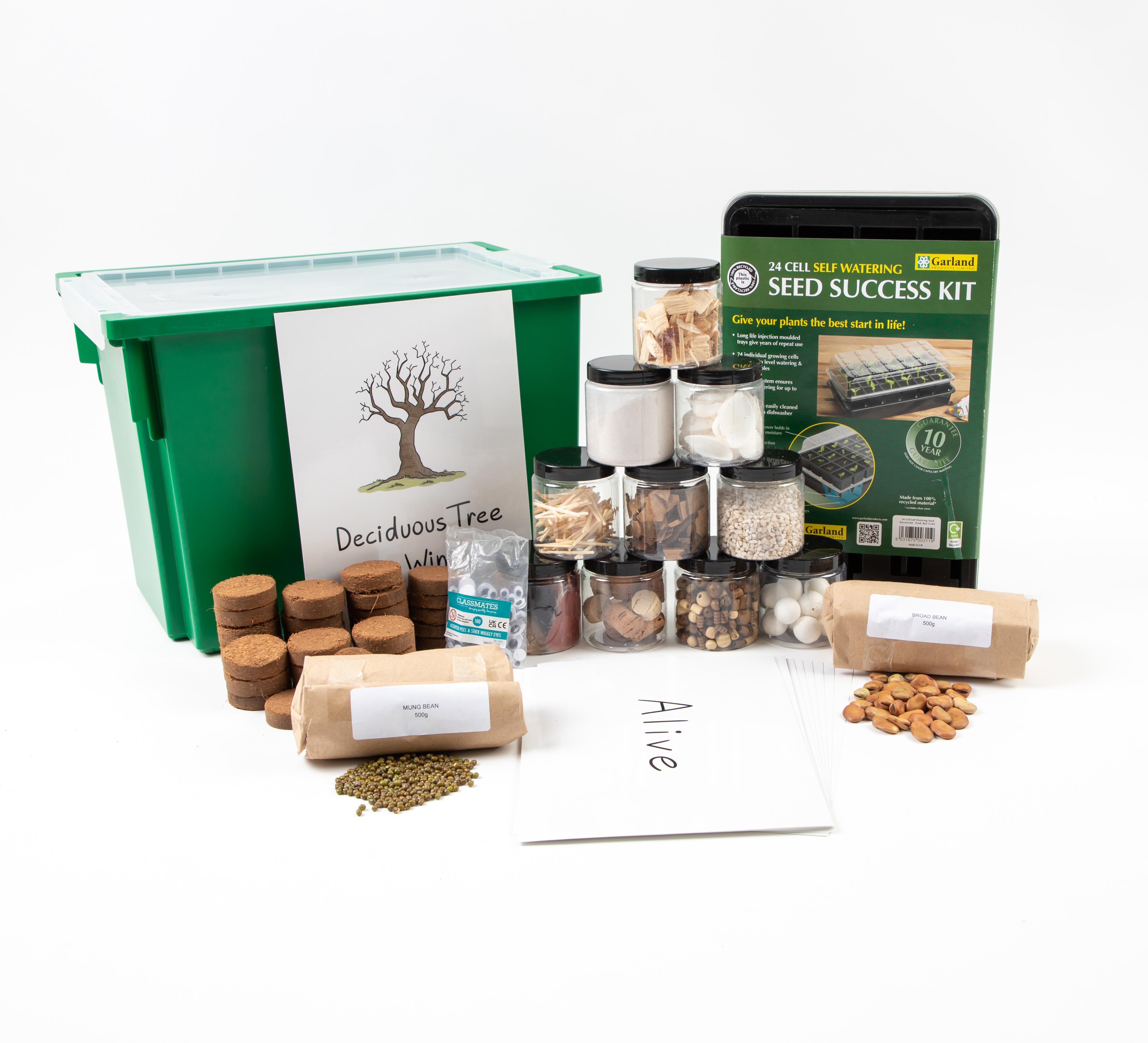 Winter Seasonal Growing Kit by Hope Education