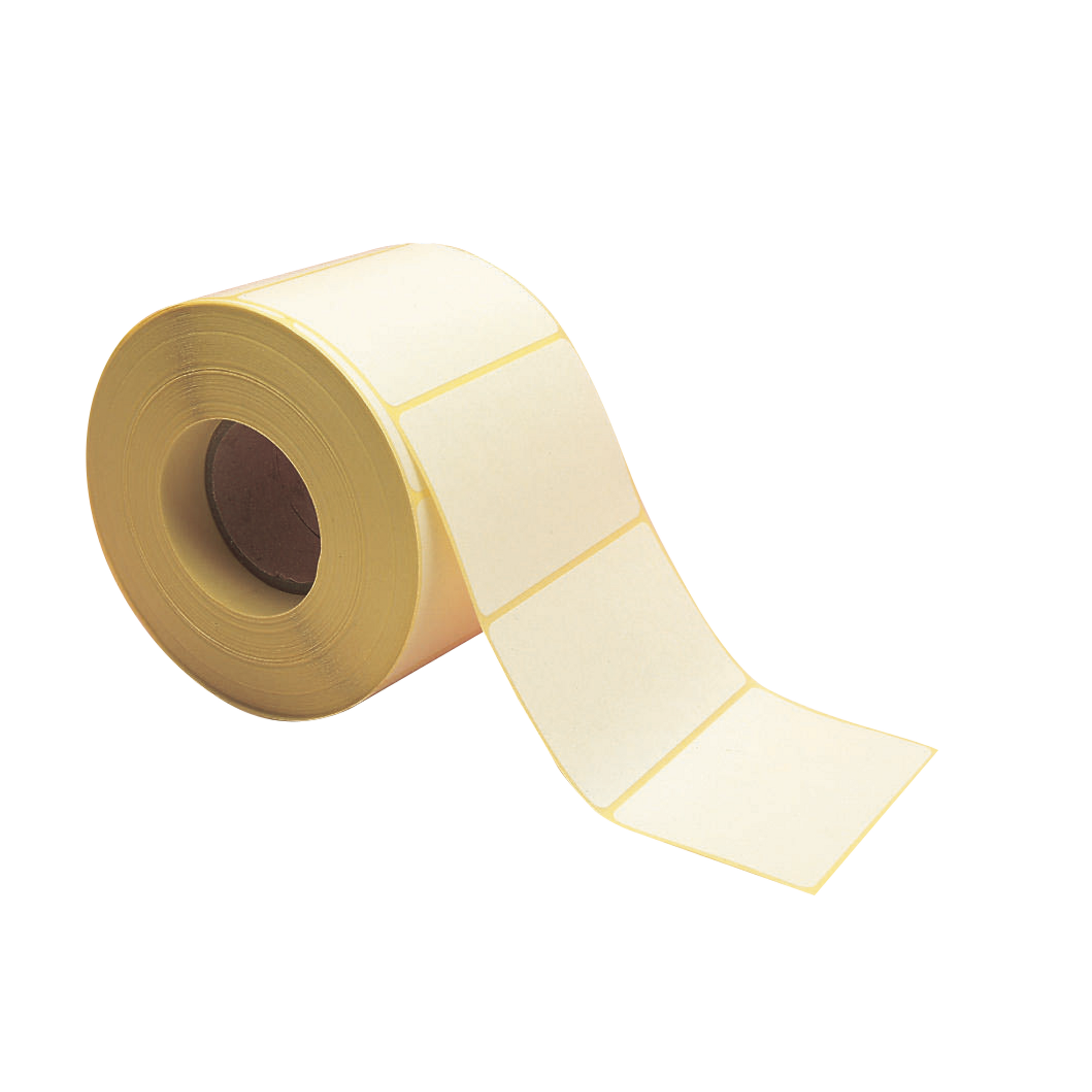 White Address Labels Roll of 1000 G102999 GLS Educational Supplies