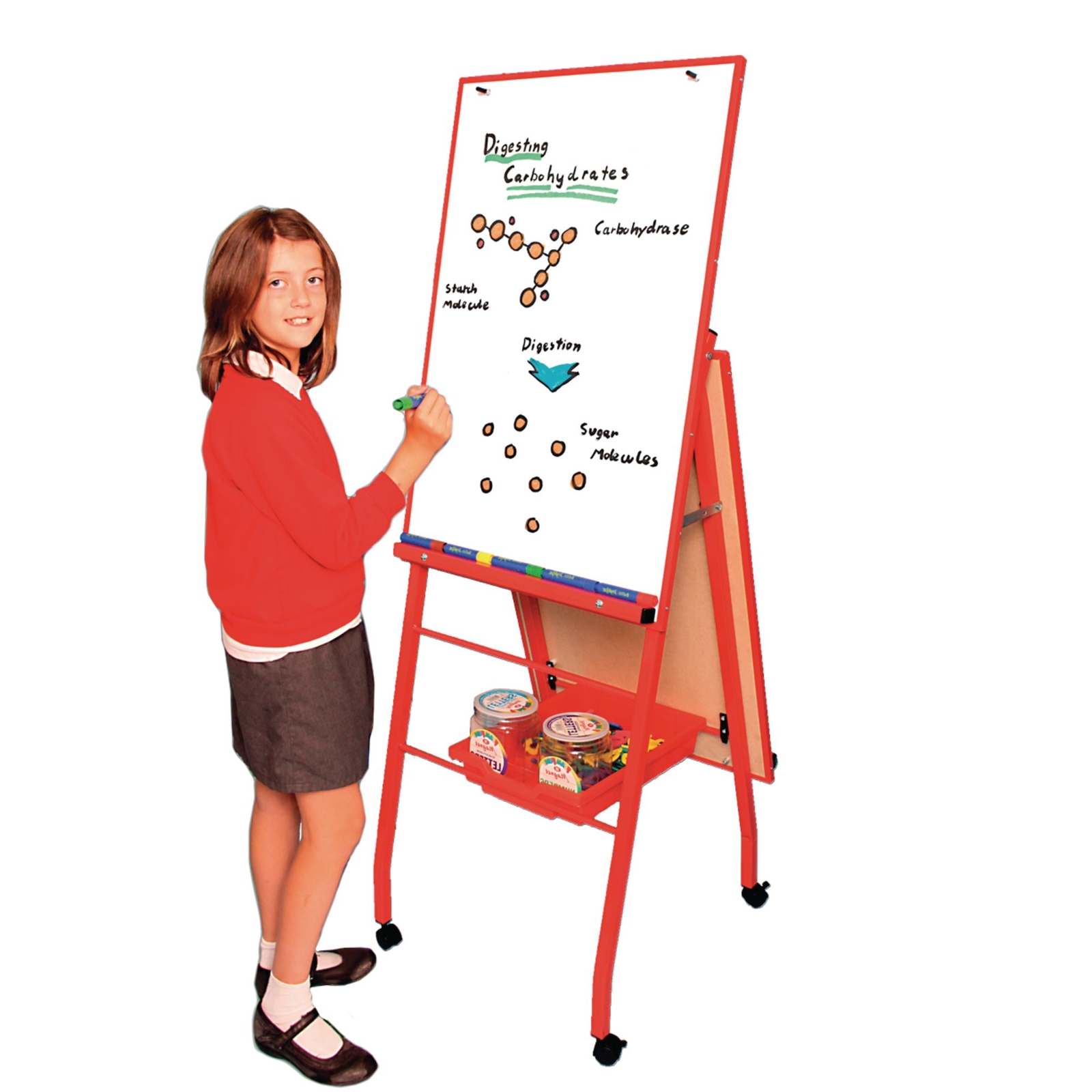 Mobile A- Frame Easel 'Portrait Style' - Blue