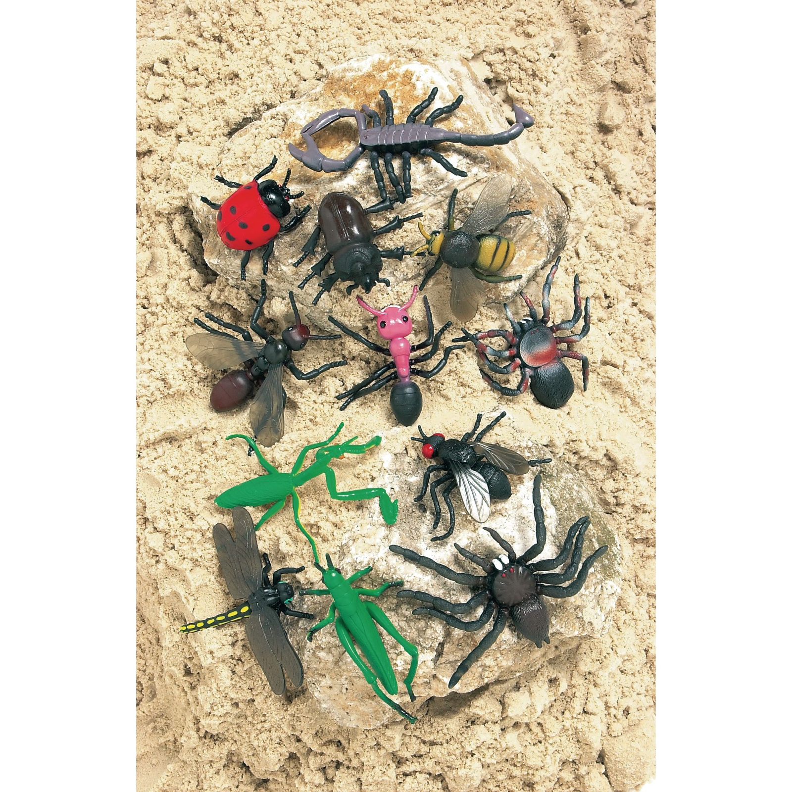 Insects - Pack of 12
