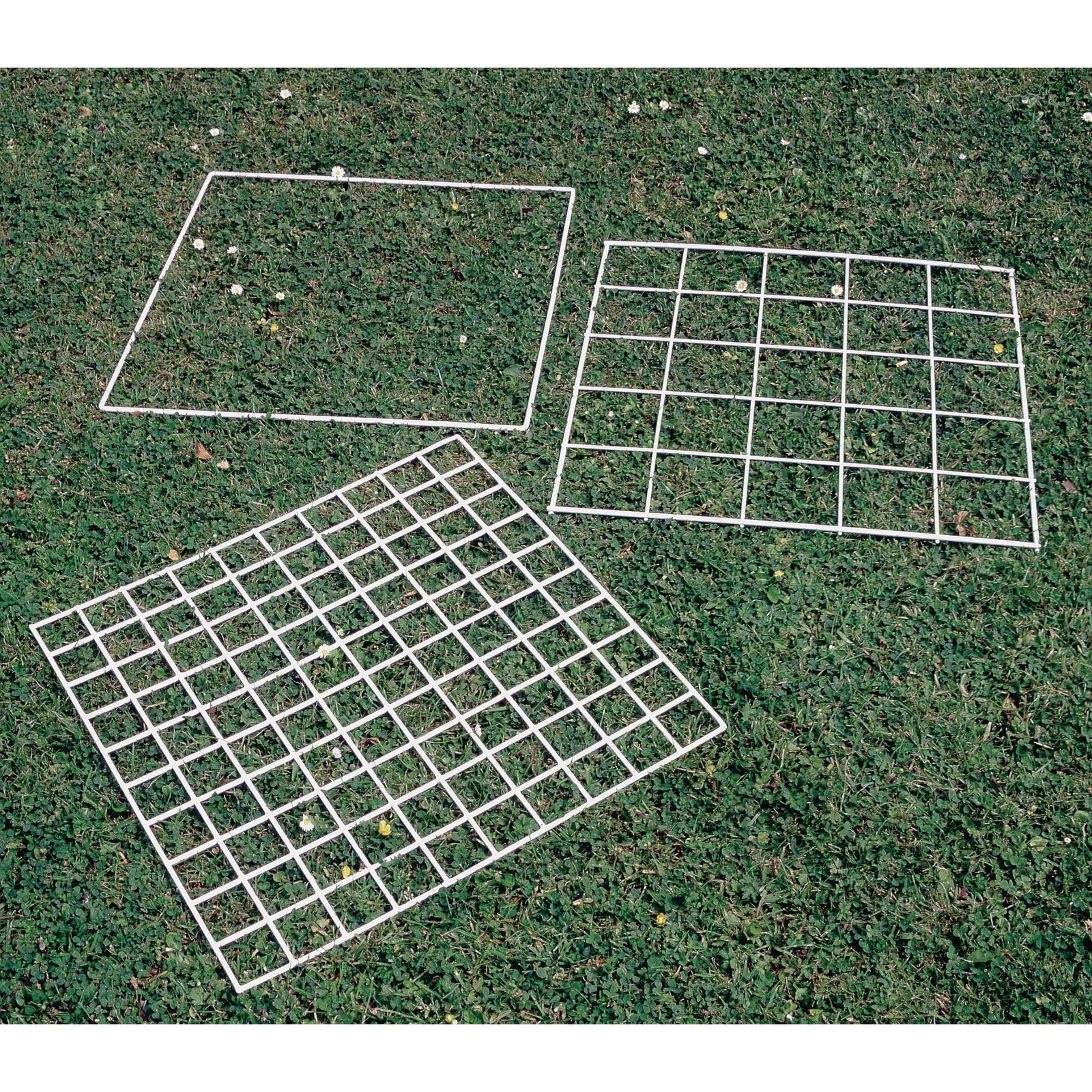 Grid Quadrat  25 Squares