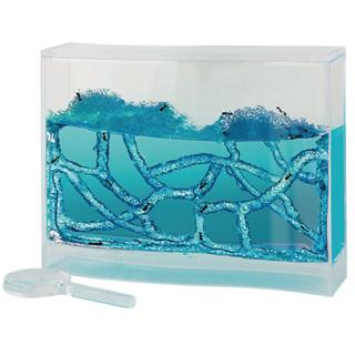 Product Image Front
