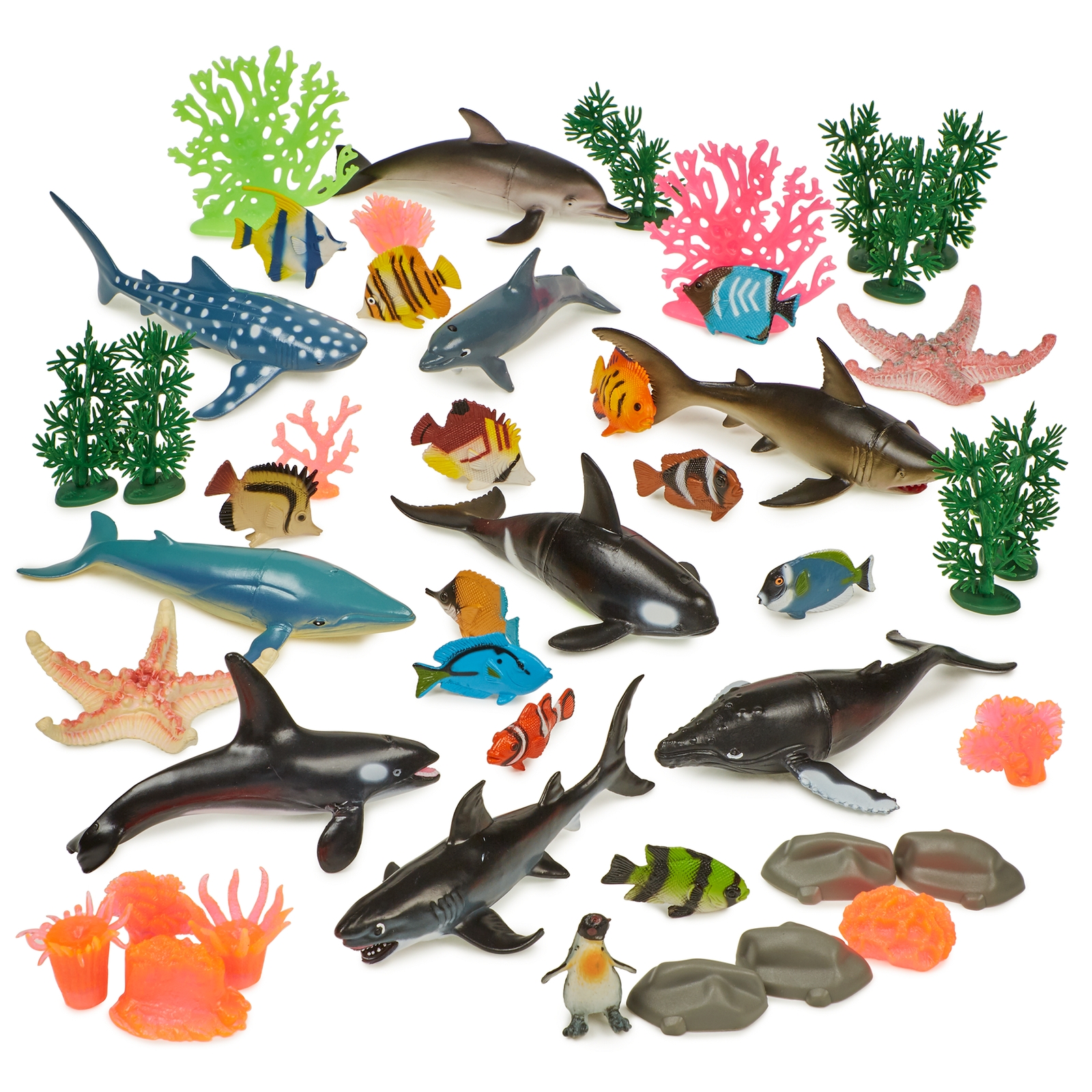 Ocean Life - Largest 170 x 90 x 60mm - Assorted - Pack of 32