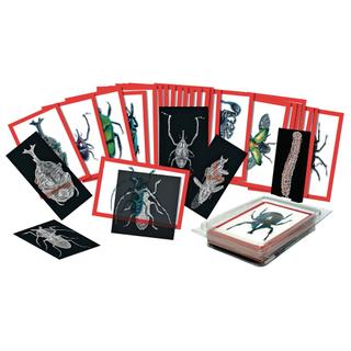 Product Image Front