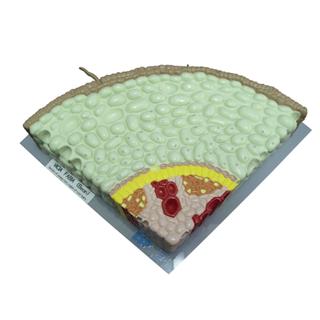 Product Image Front