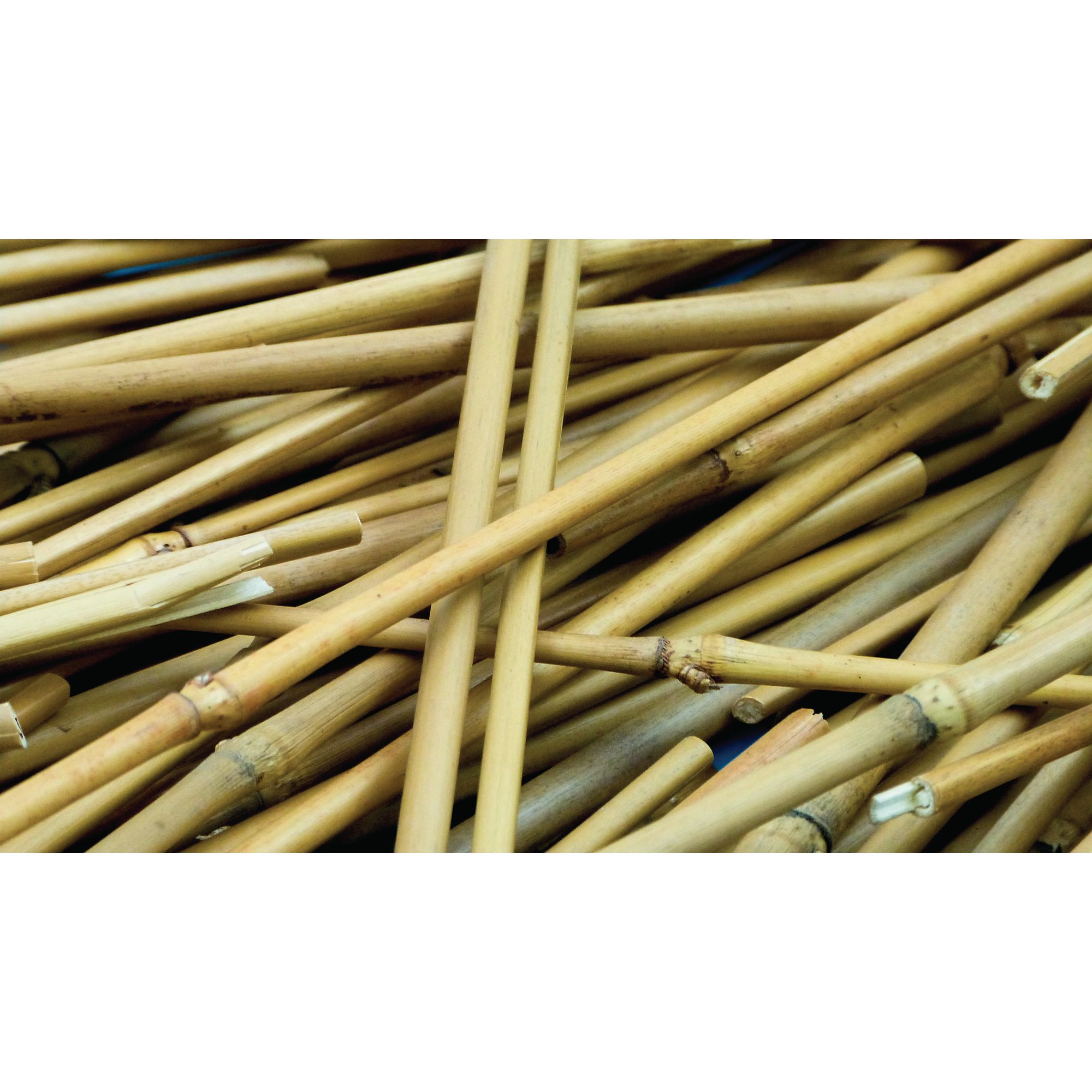 Long Bamboo Sticks HC1426798 Findel International   HE1426798 1426798 P 