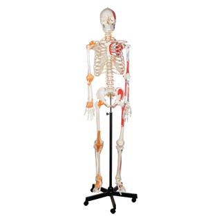 Product Image Front