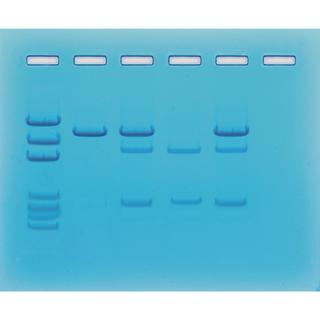 Product Image Front