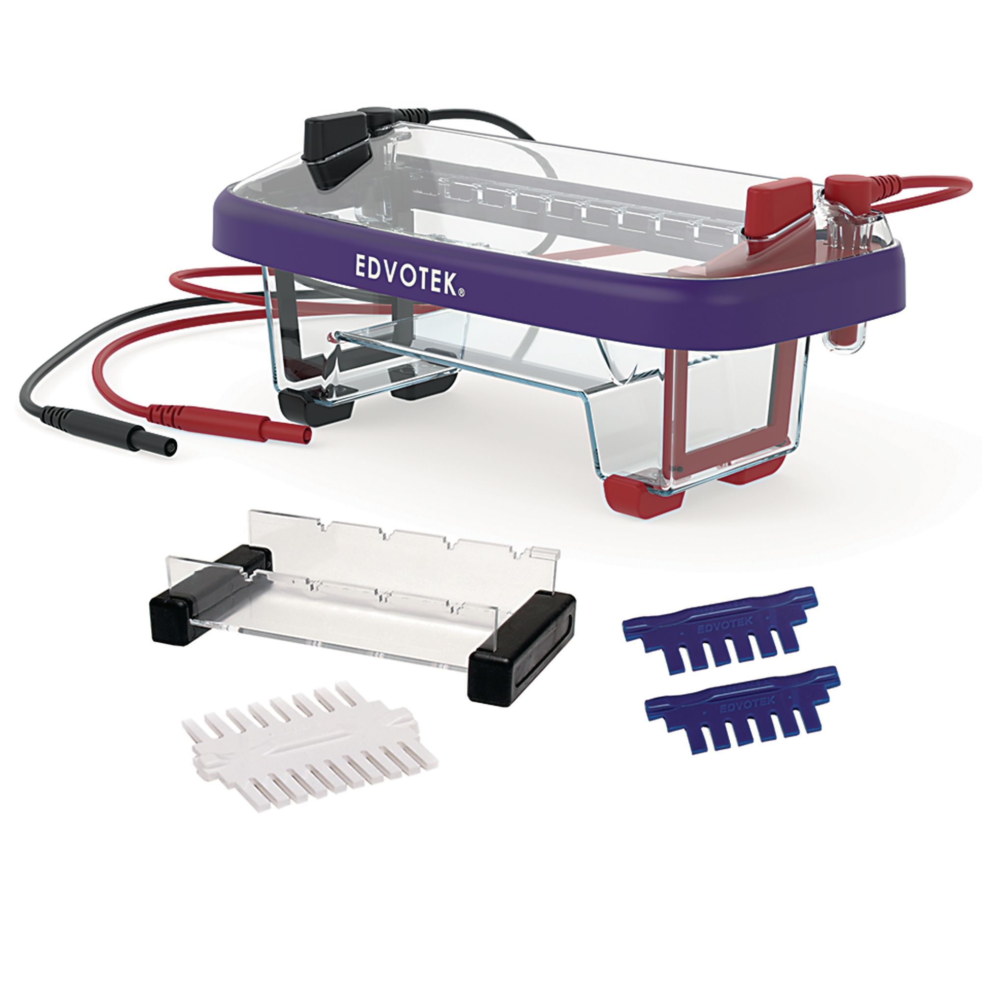 Medium Electrophoresis