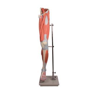 Product Image Front