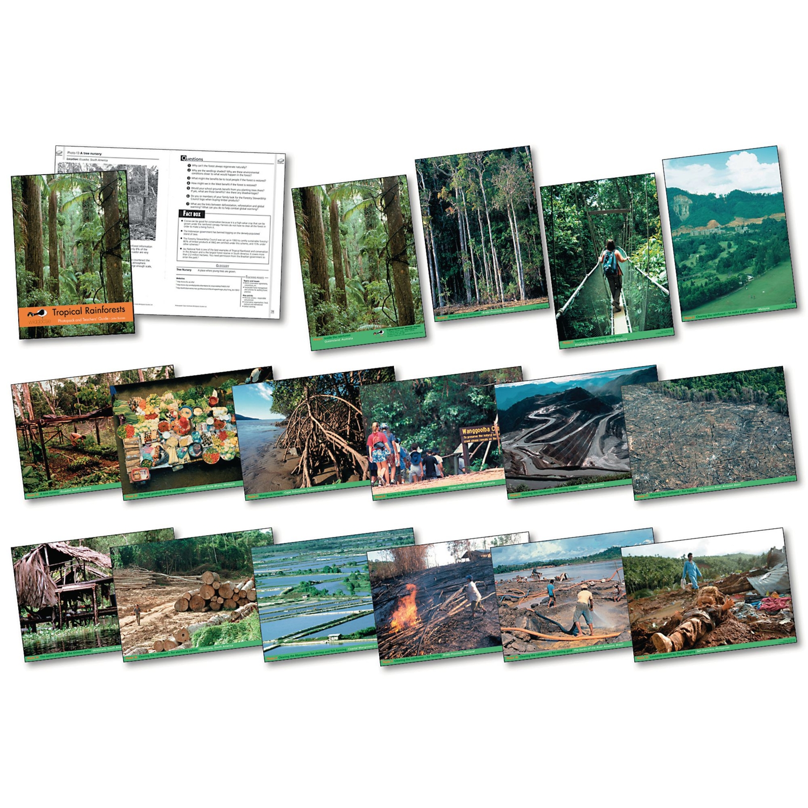 Tropical Rainforest Photopack