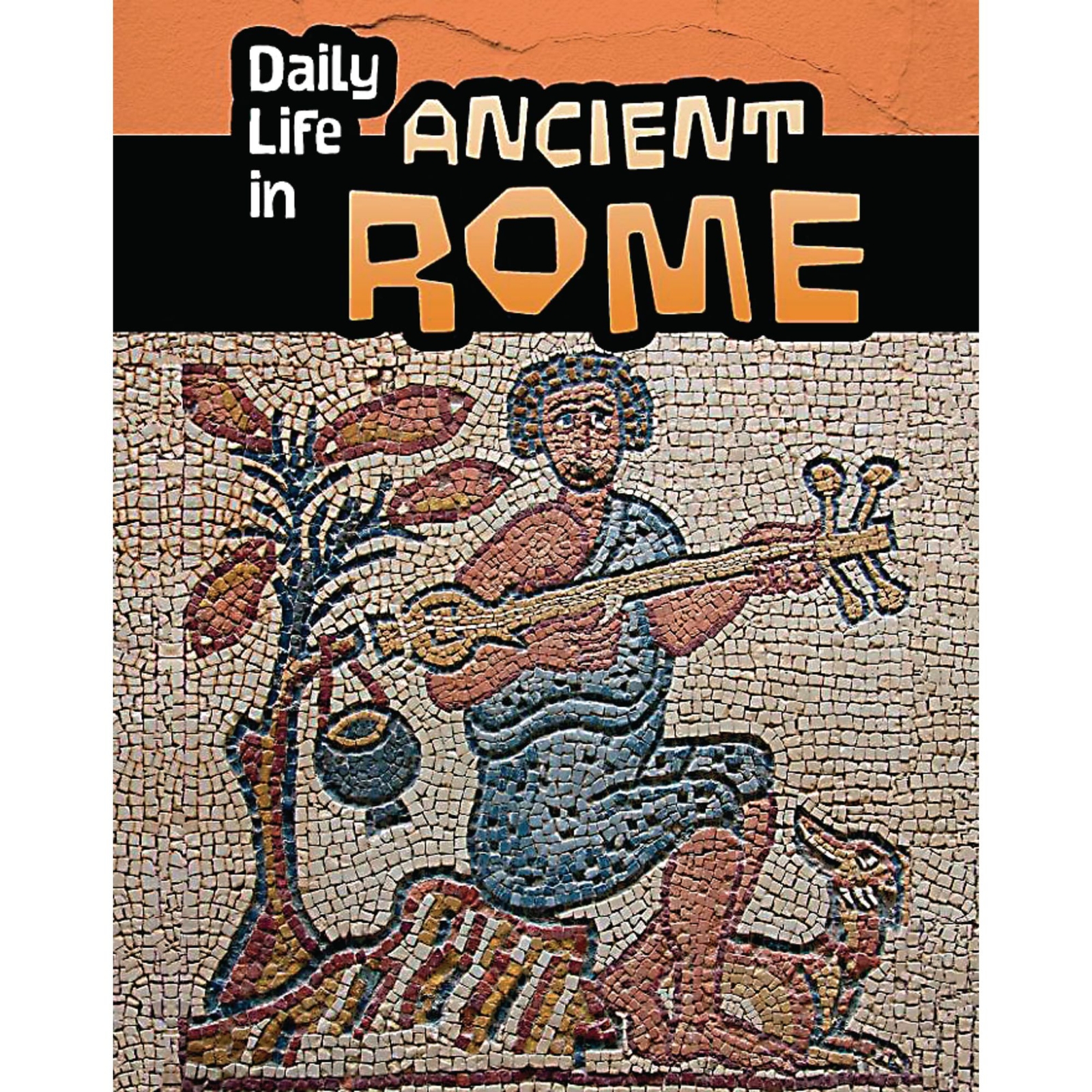Daily Life in Ancient Civilizations Set 1