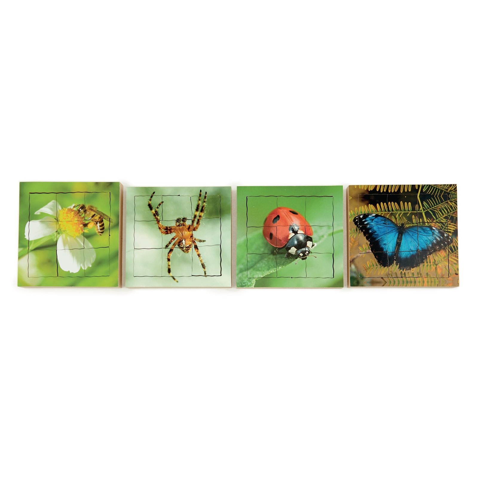 Just Jigsaws Layered Lifecycle Puzzles - Pack x 4